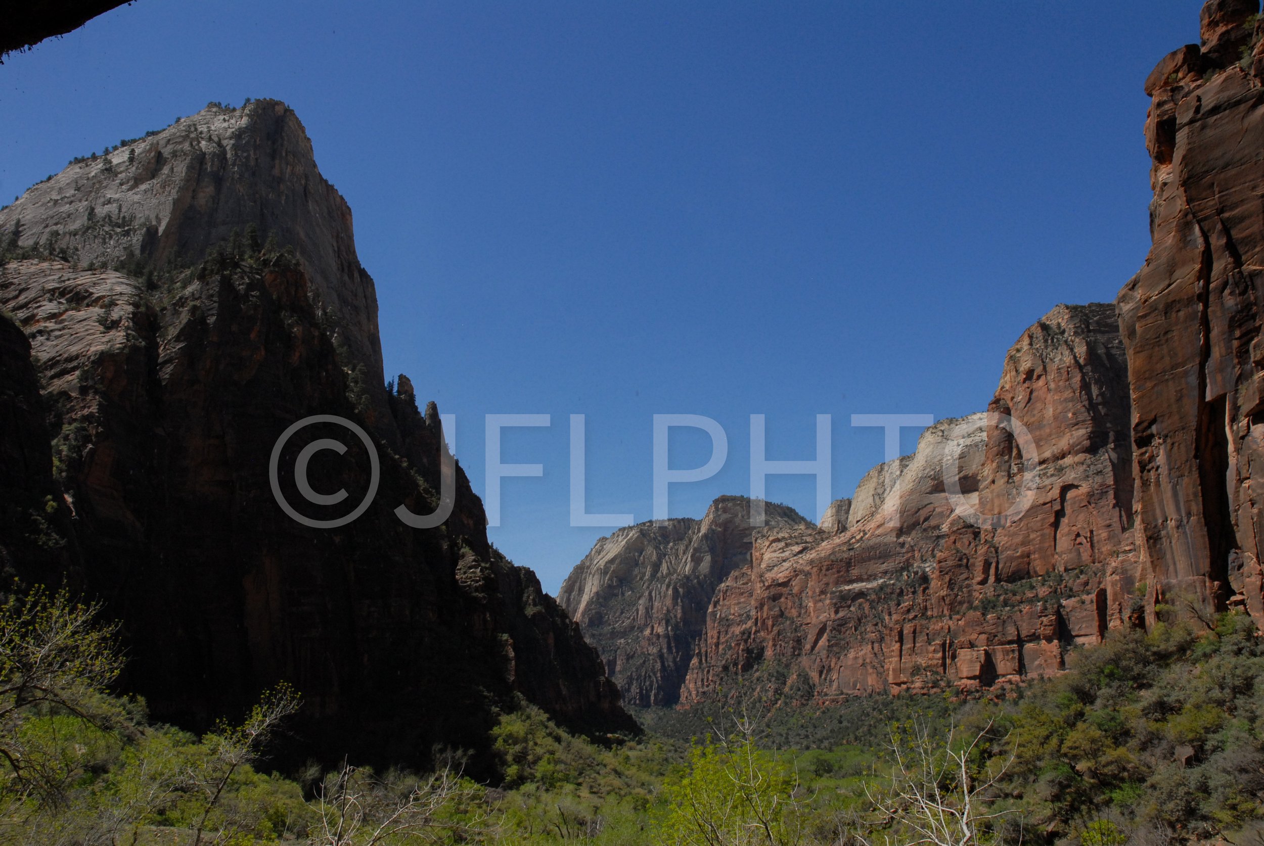 DSC_0338.jpg