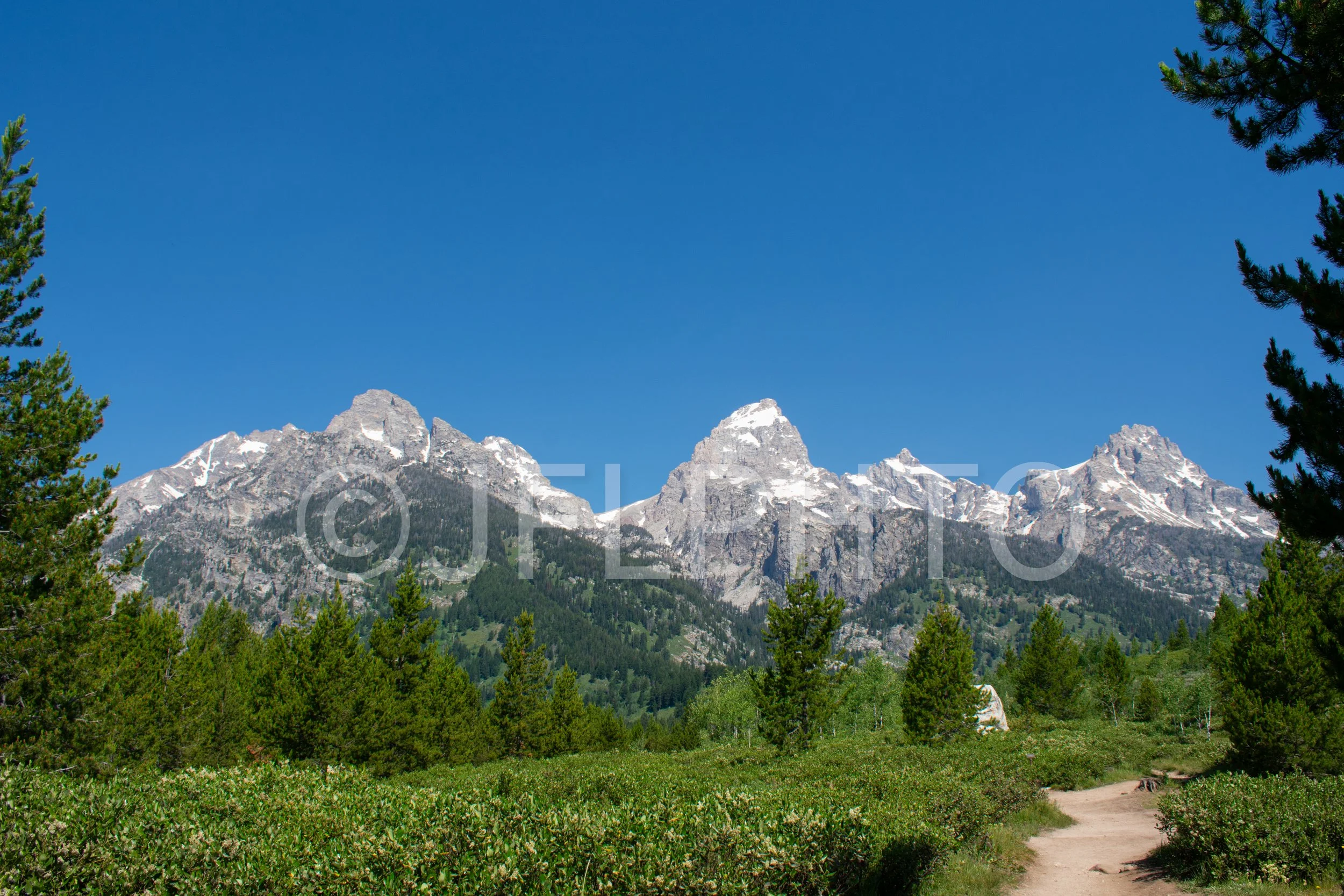 DSC_0234.jpg