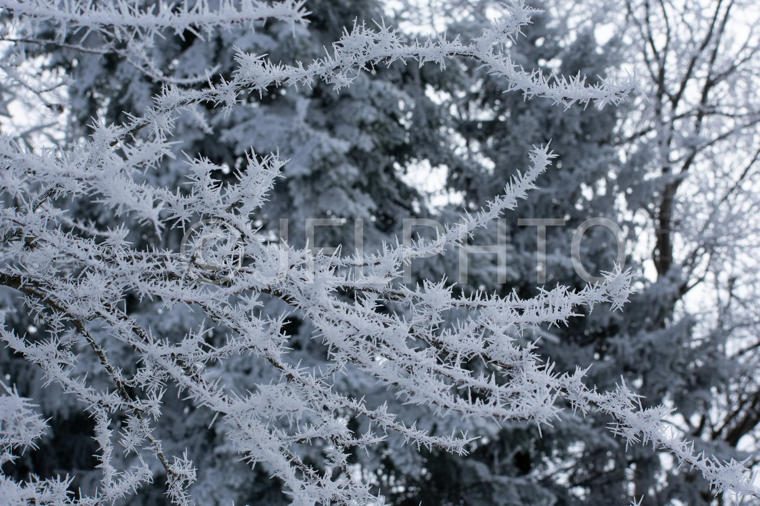 DSC_0467.jpg