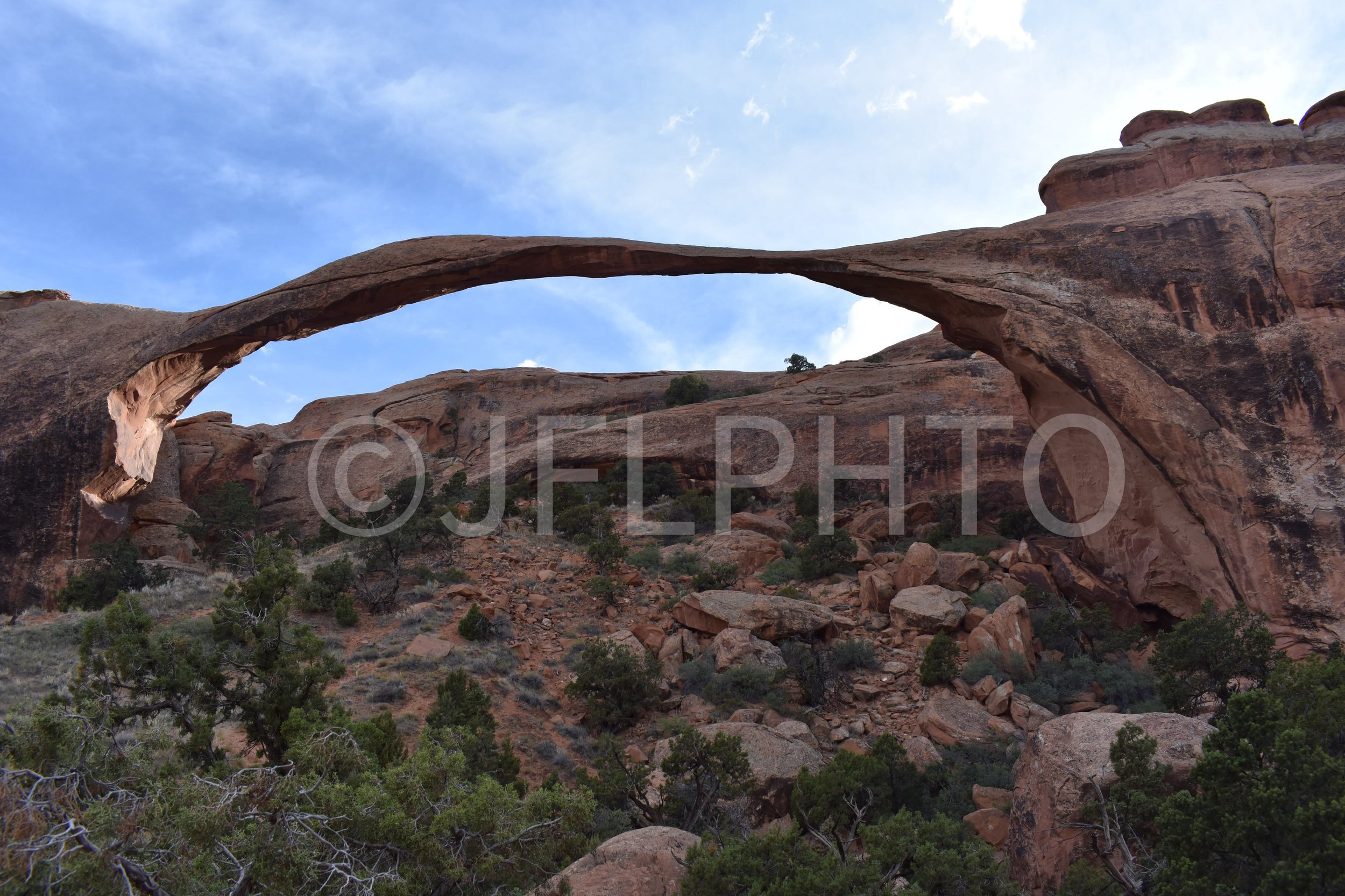 DSC_0571.NEF.jpg