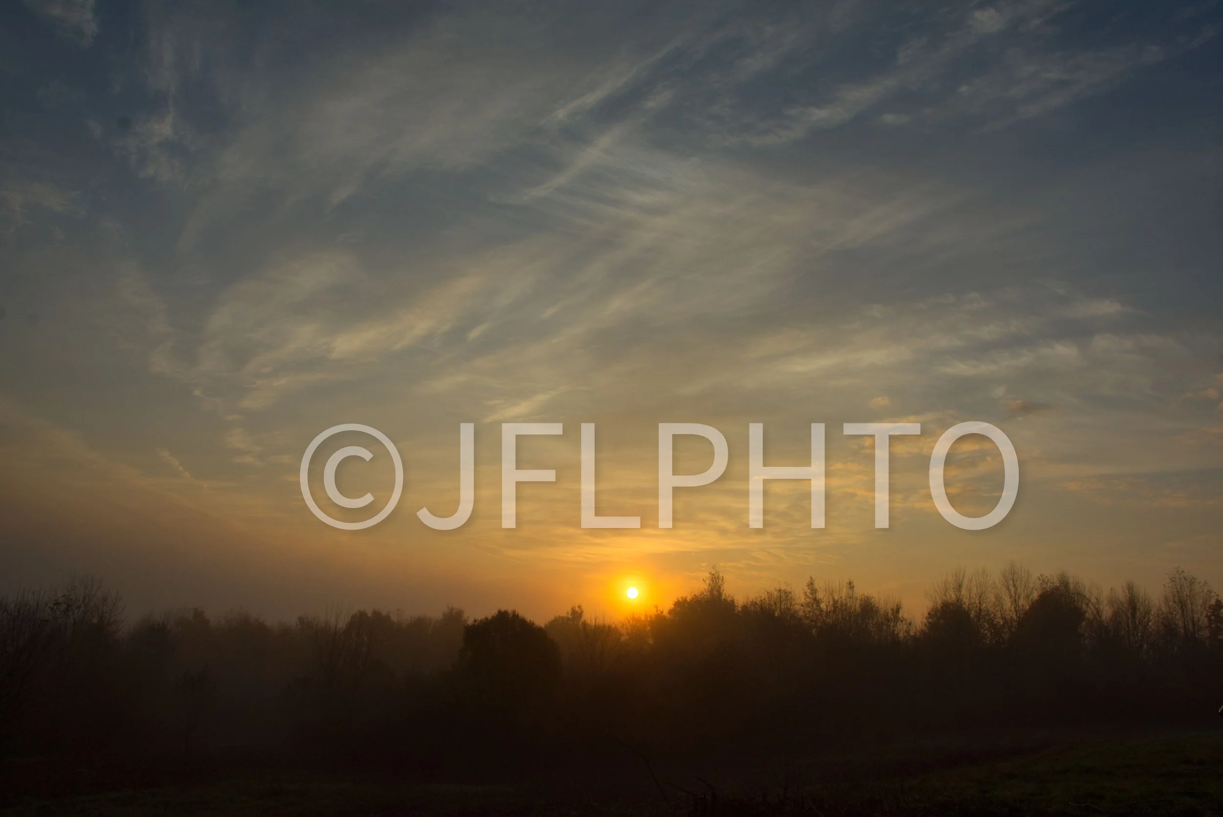 DSC_0047.jpg