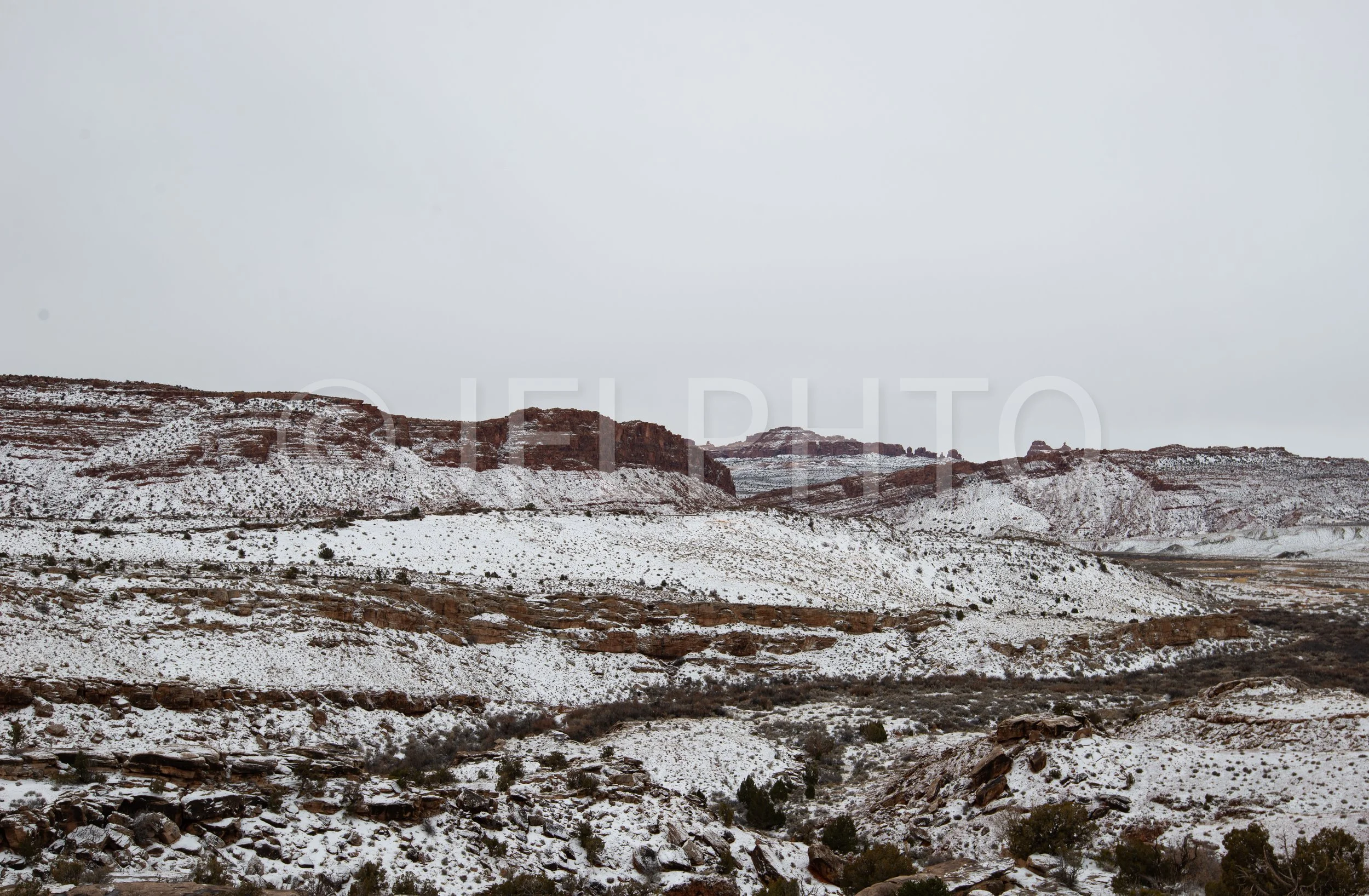 DSC_2165.jpg
