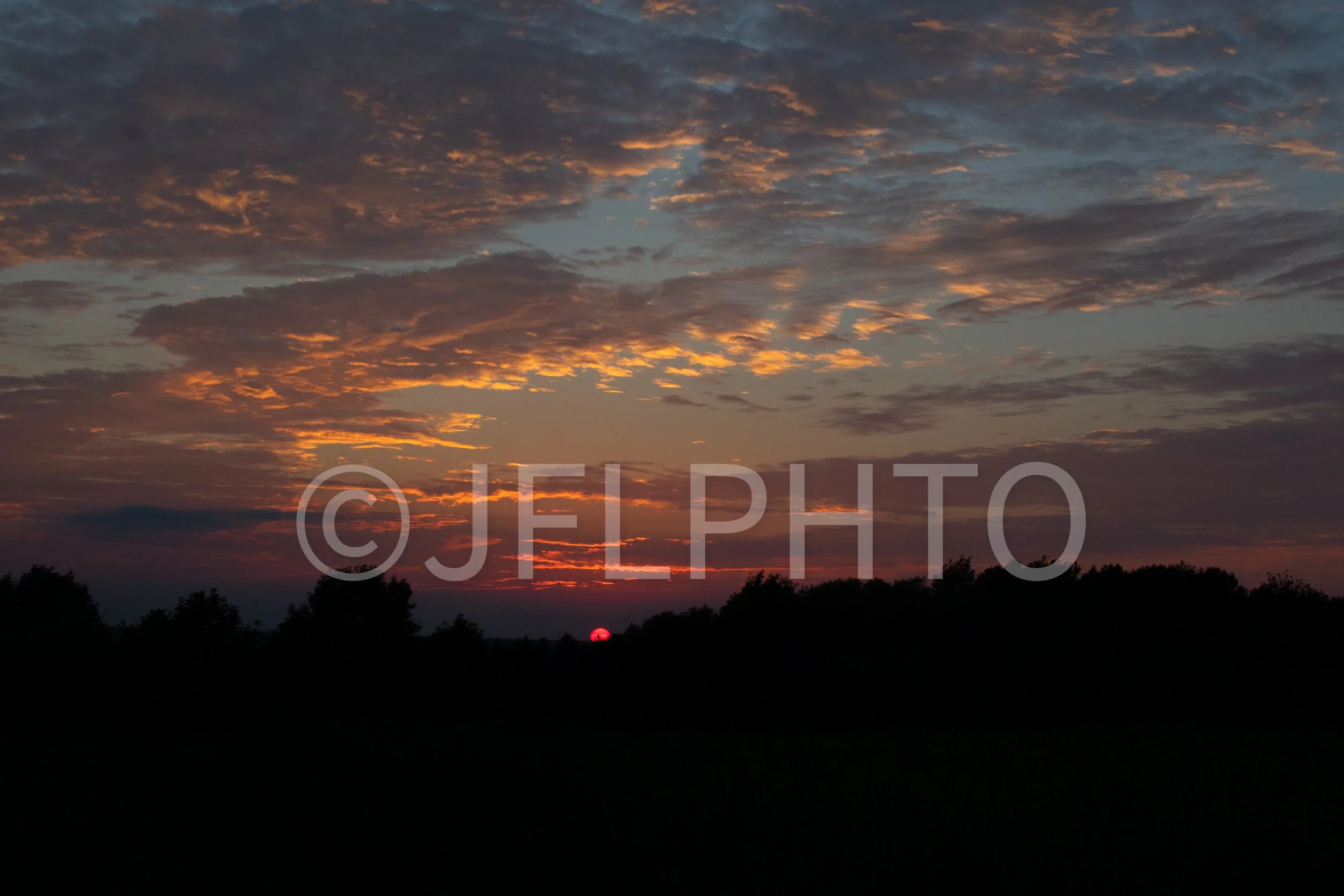 DSC_0149.jpg