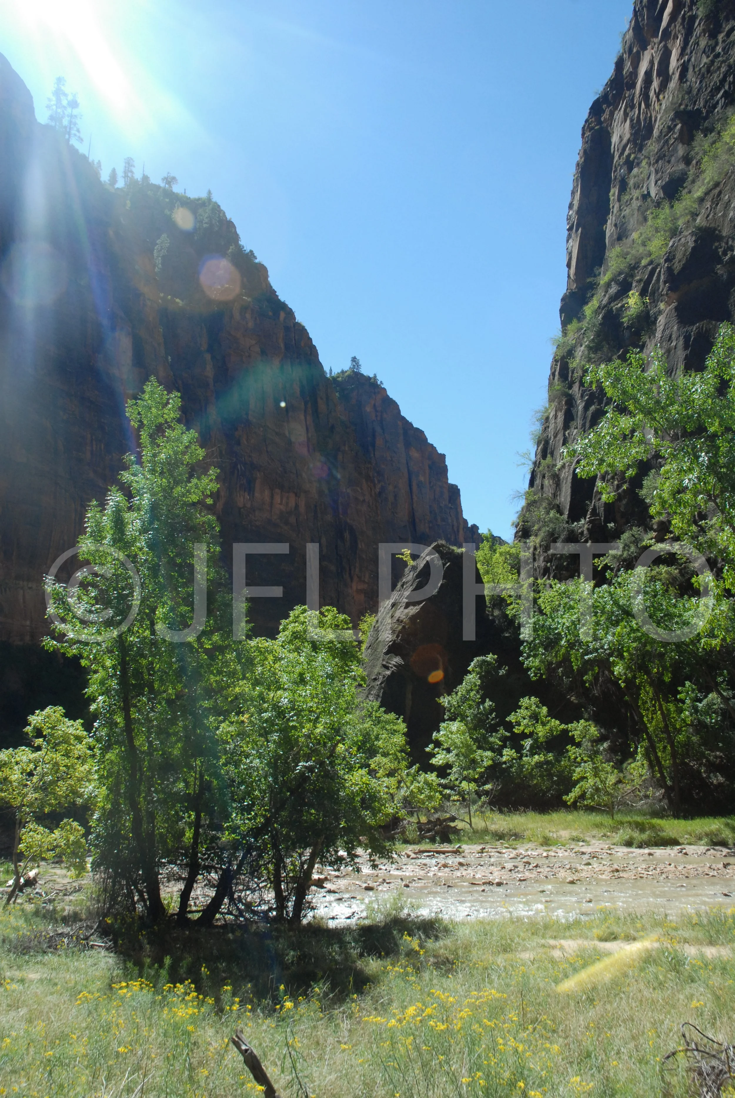 DSC_0645.jpg