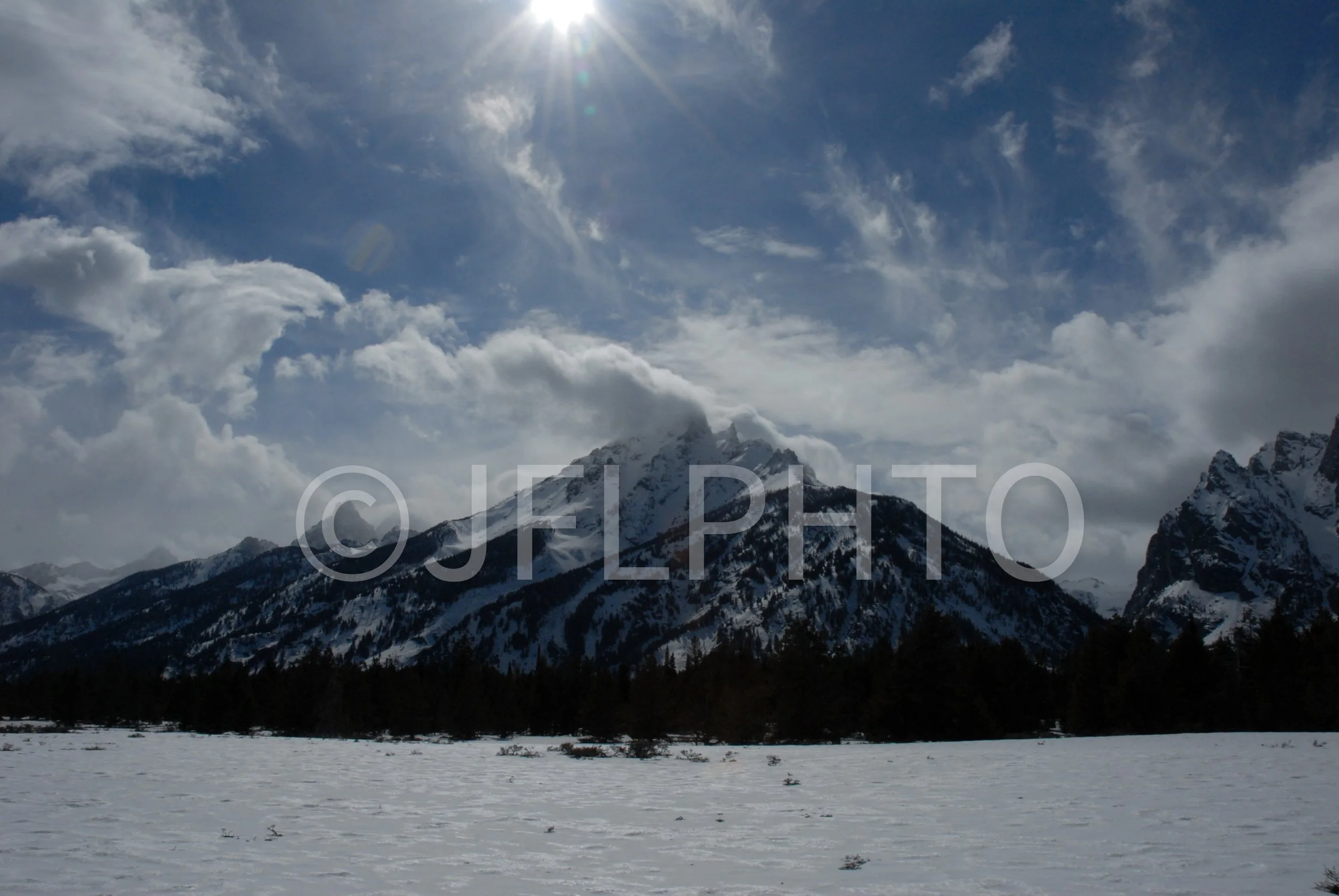 DSC_0331.jpg