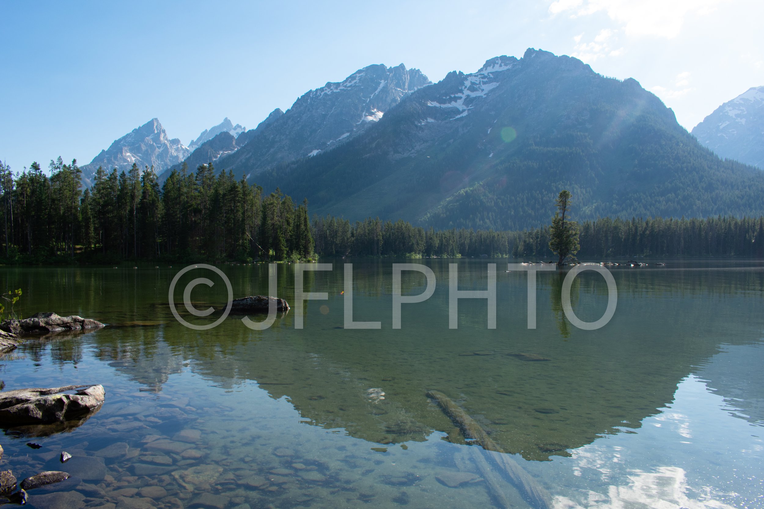 DSC_0460.jpg