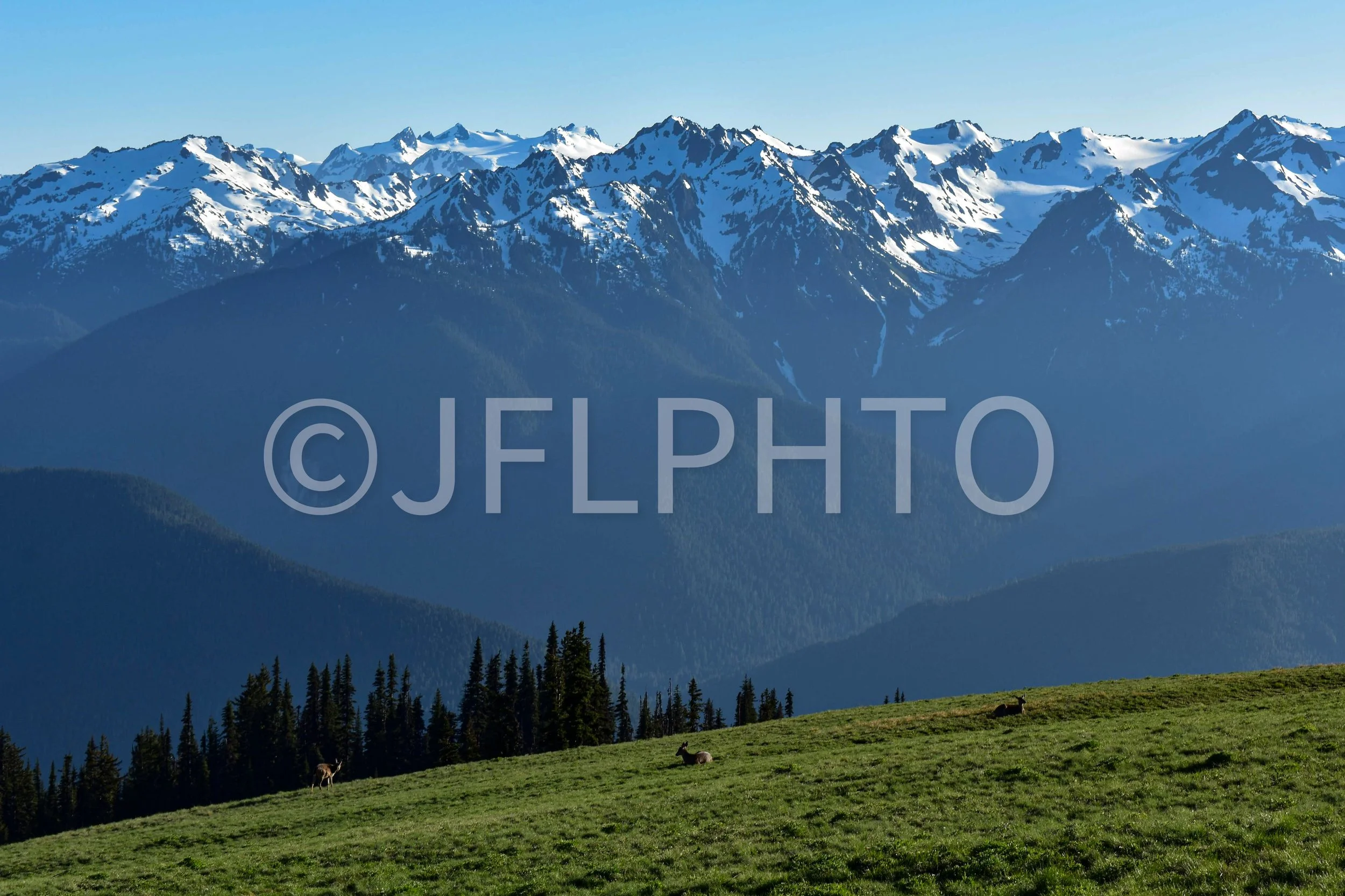 DSC_0257.NEF-2.jpg