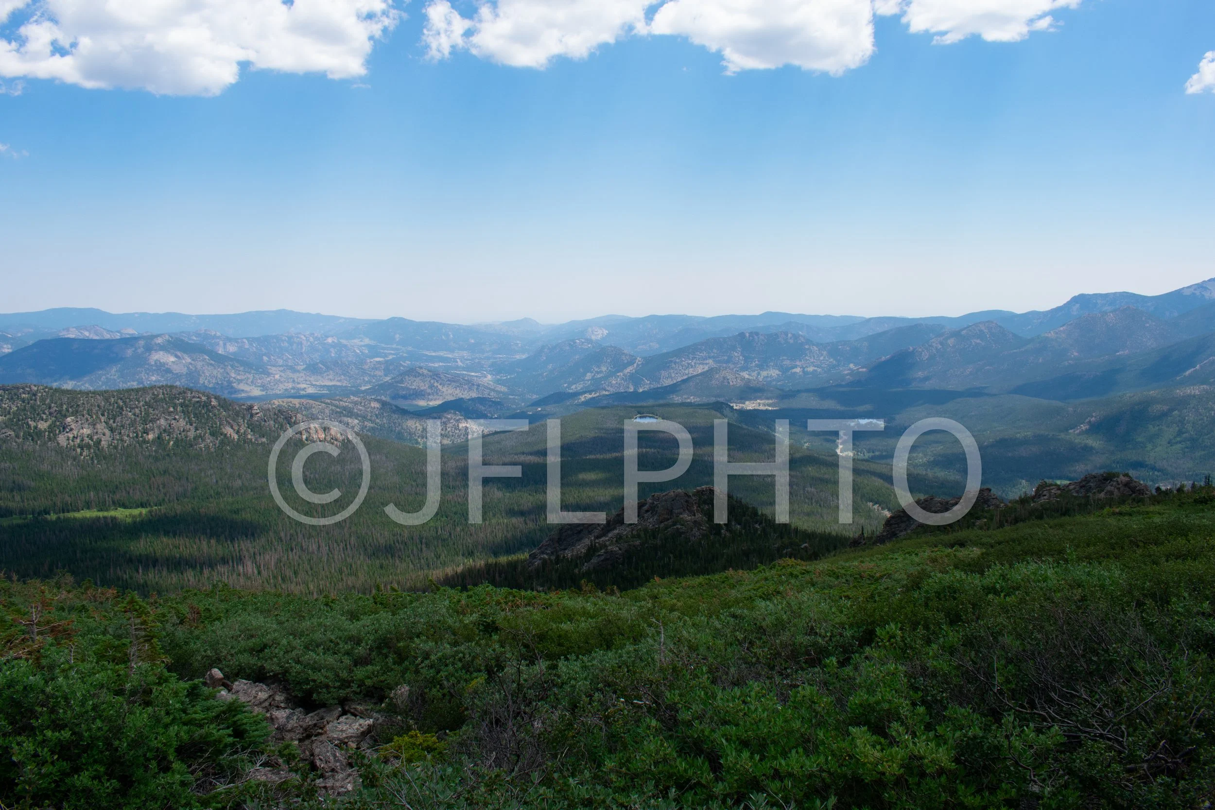 DSC_0117.jpg