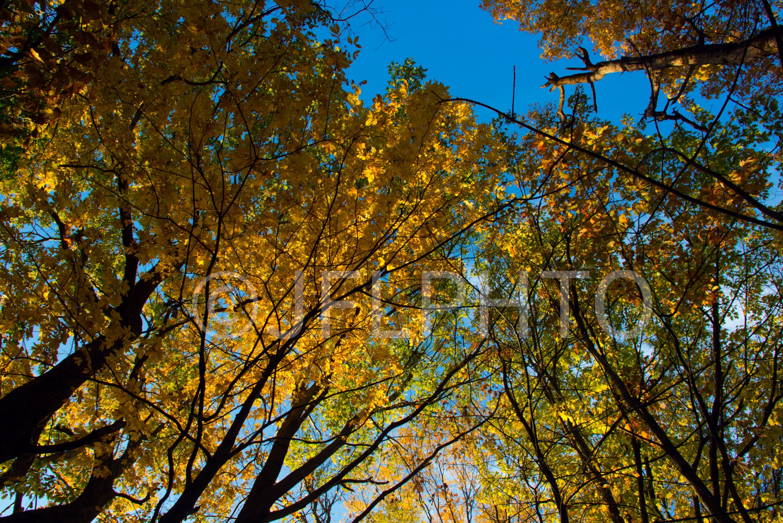 DSC_0427.jpg