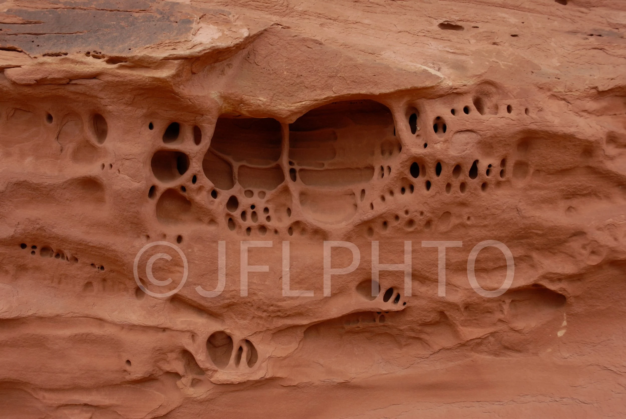 DSC_0614.jpg