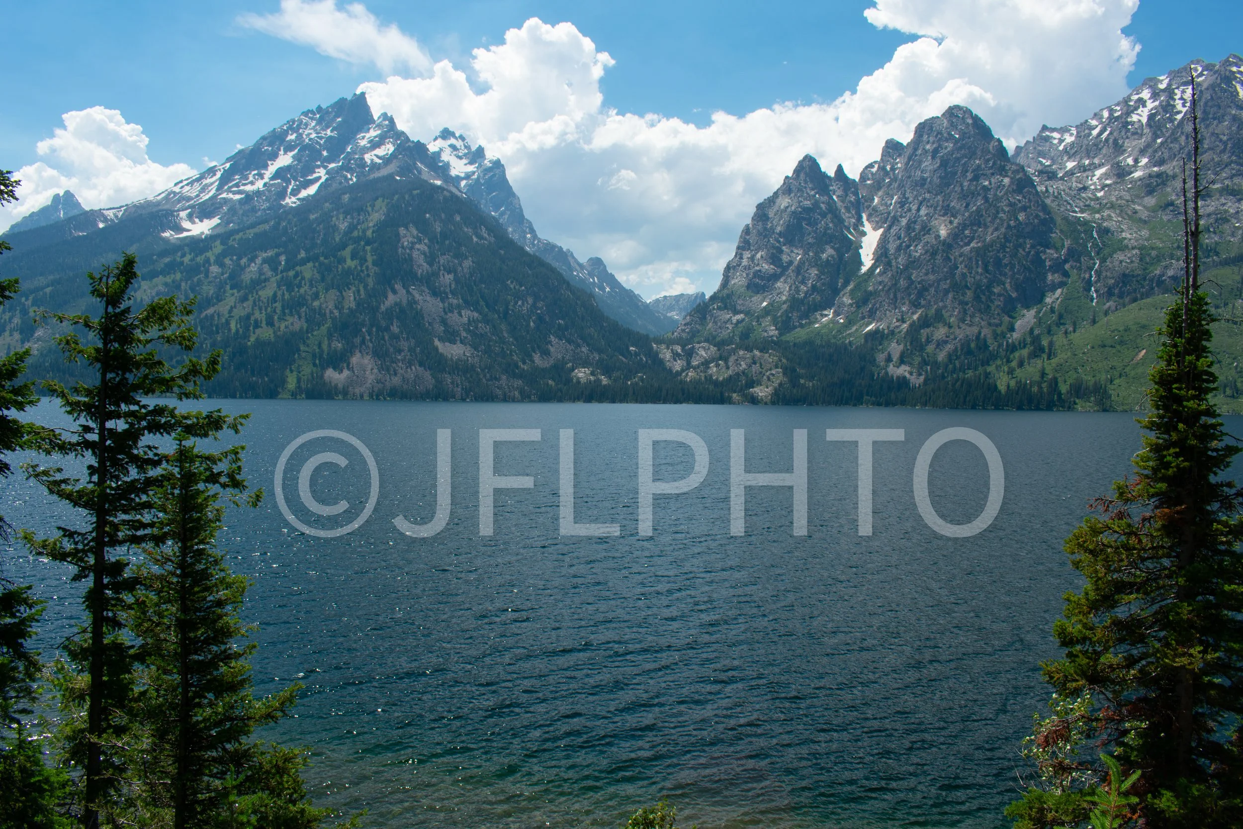 DSC_0030.jpg