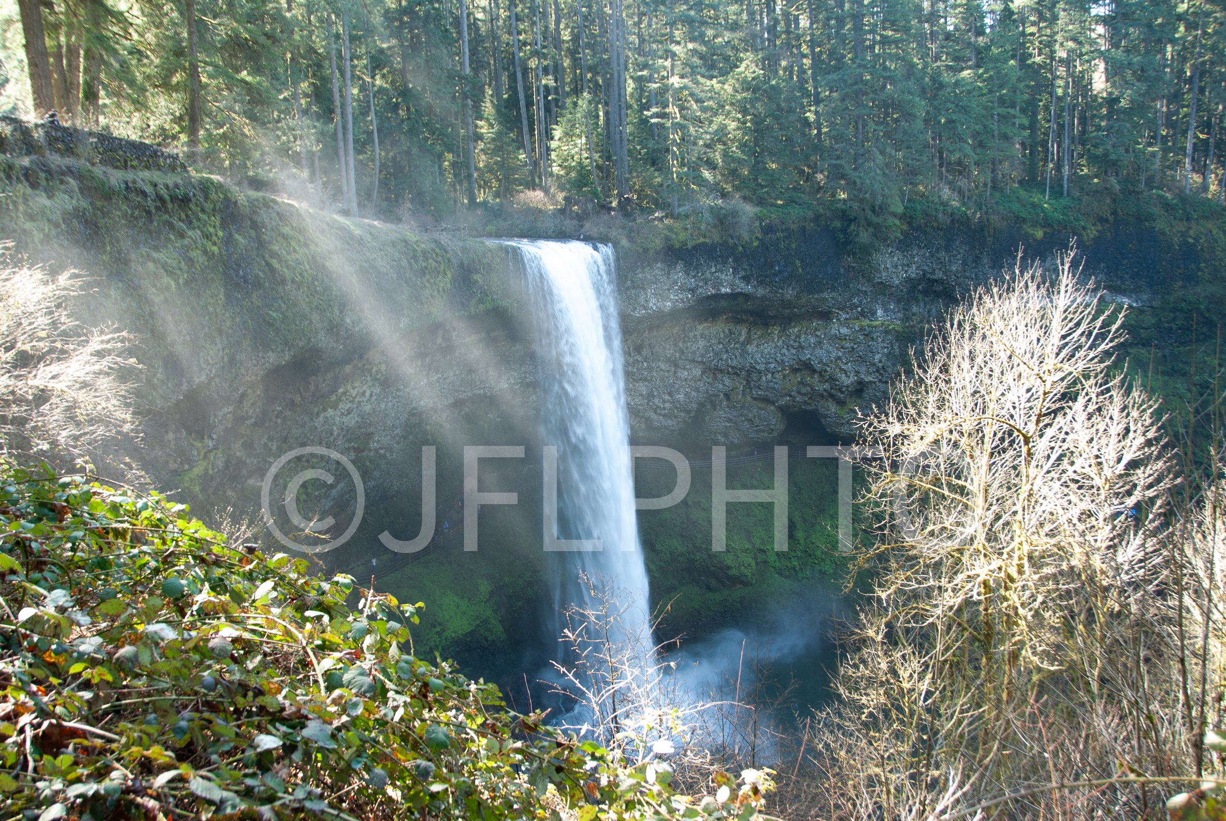 DSC_0536.jpg
