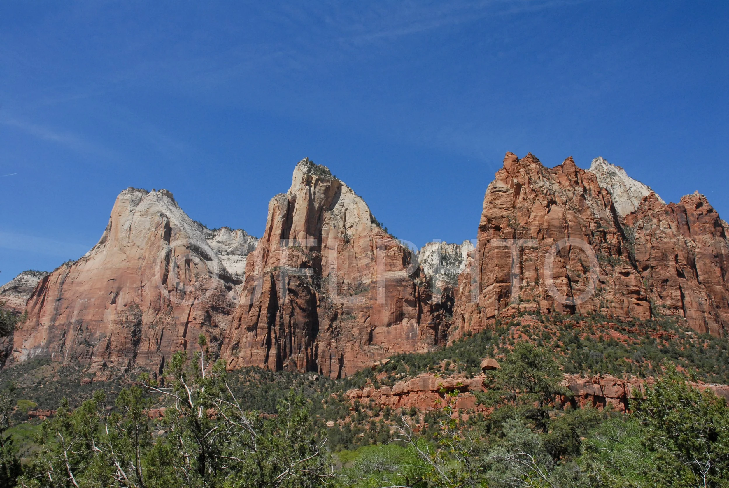 DSC_0445.jpg