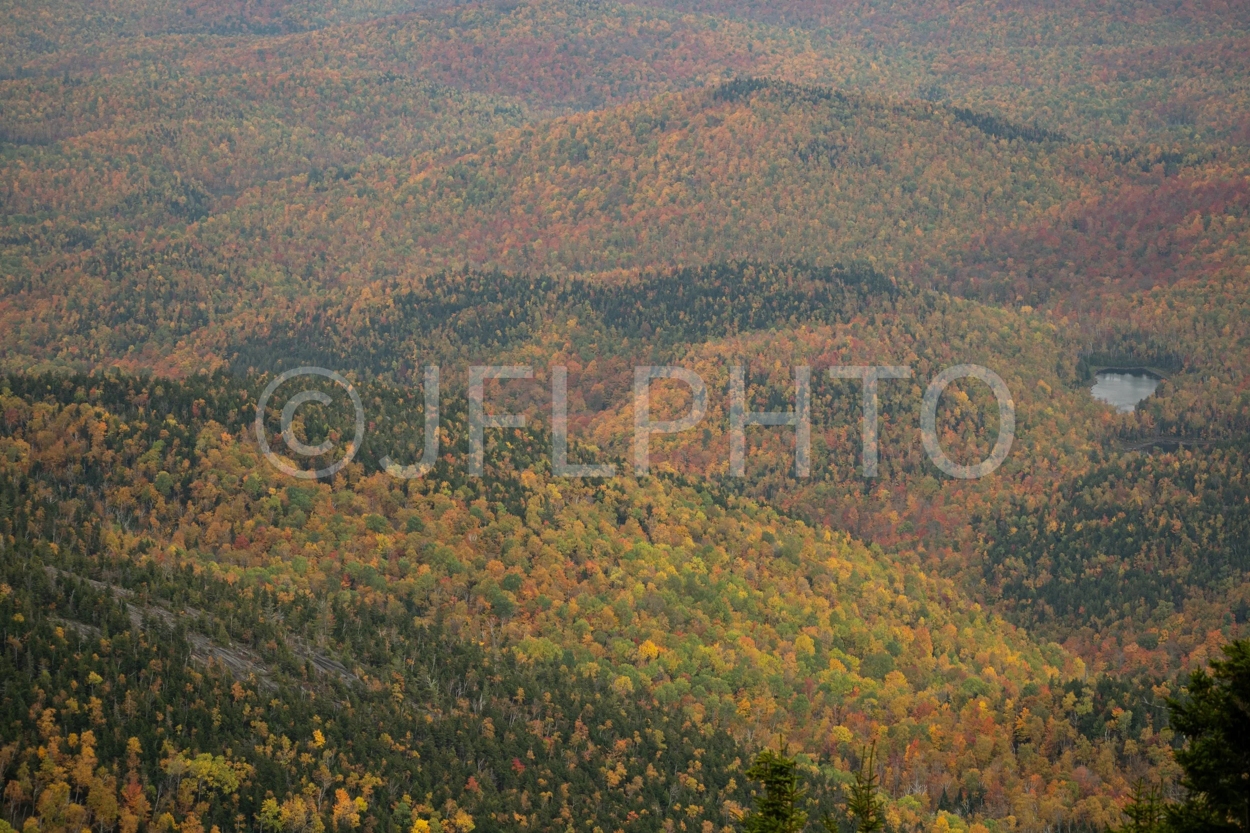 DSC_7919.jpg