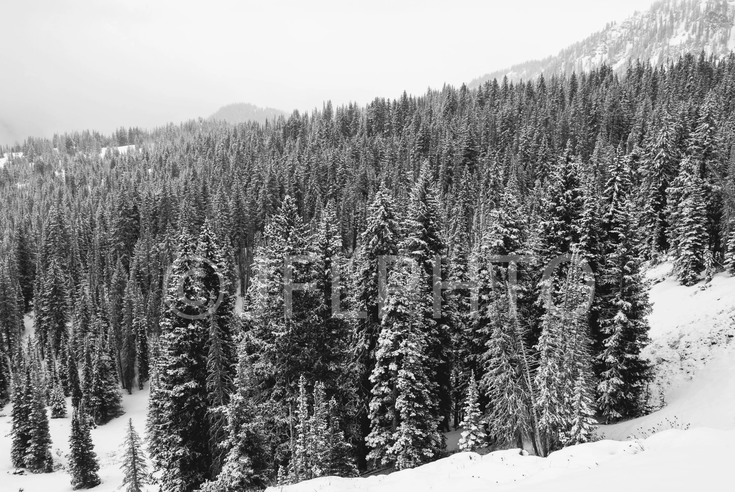 DSC_0067-2.jpg