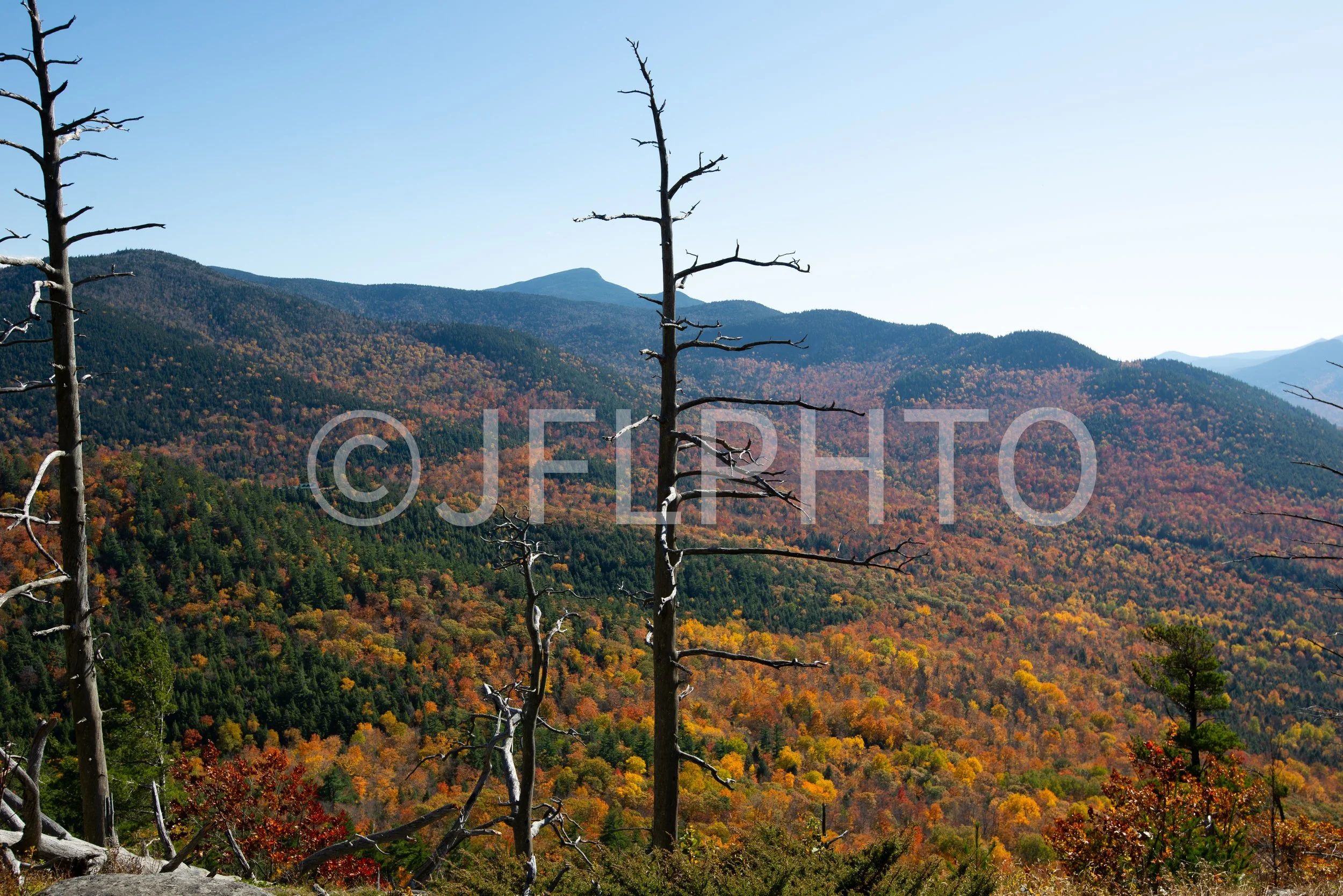 DSC_0706.jpg