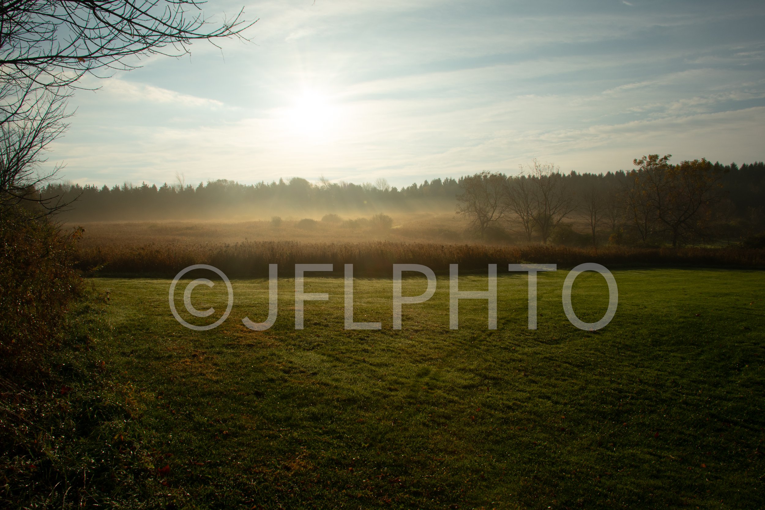 DSC_0461.jpg