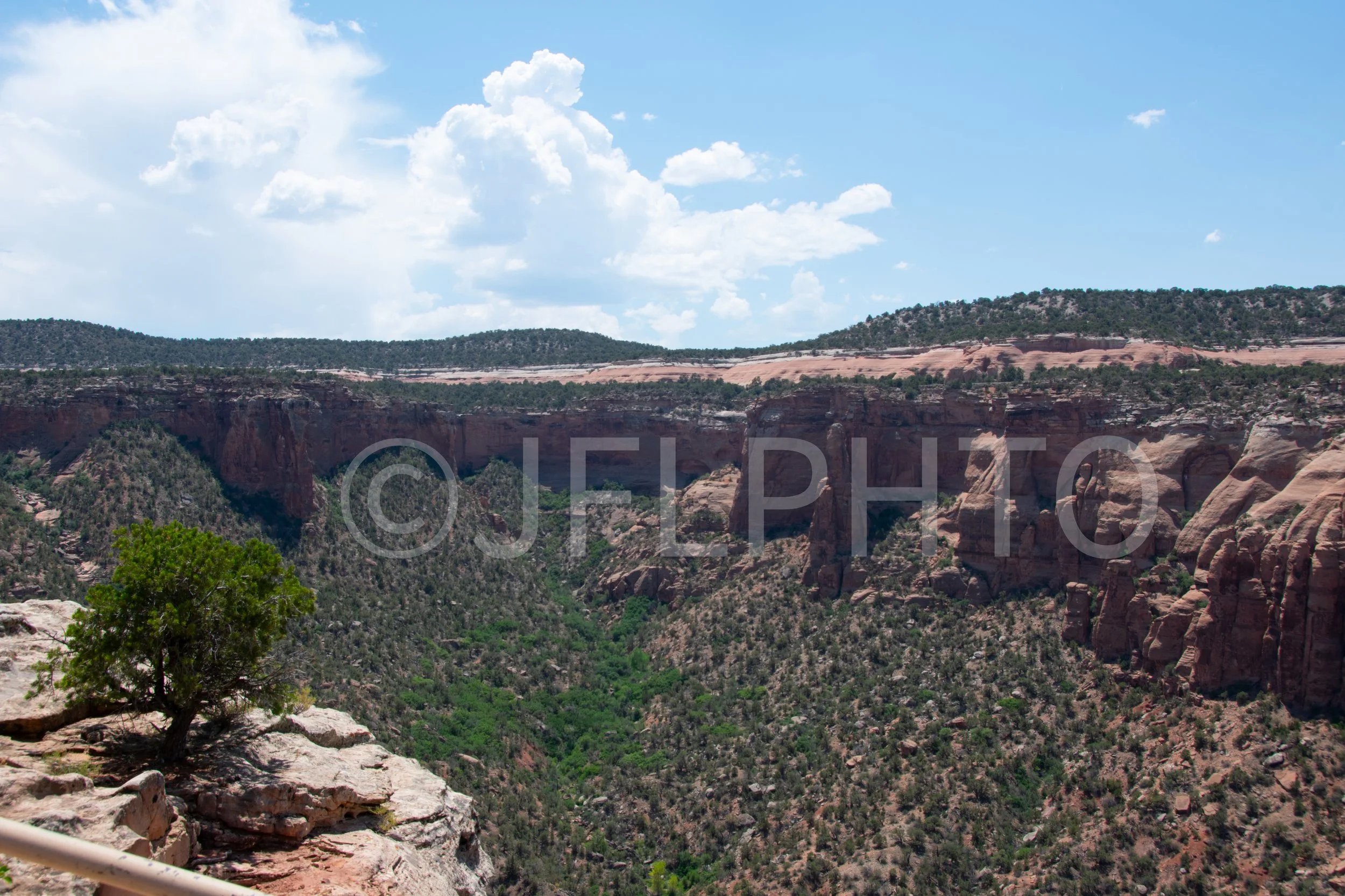 DSC_0473.jpg