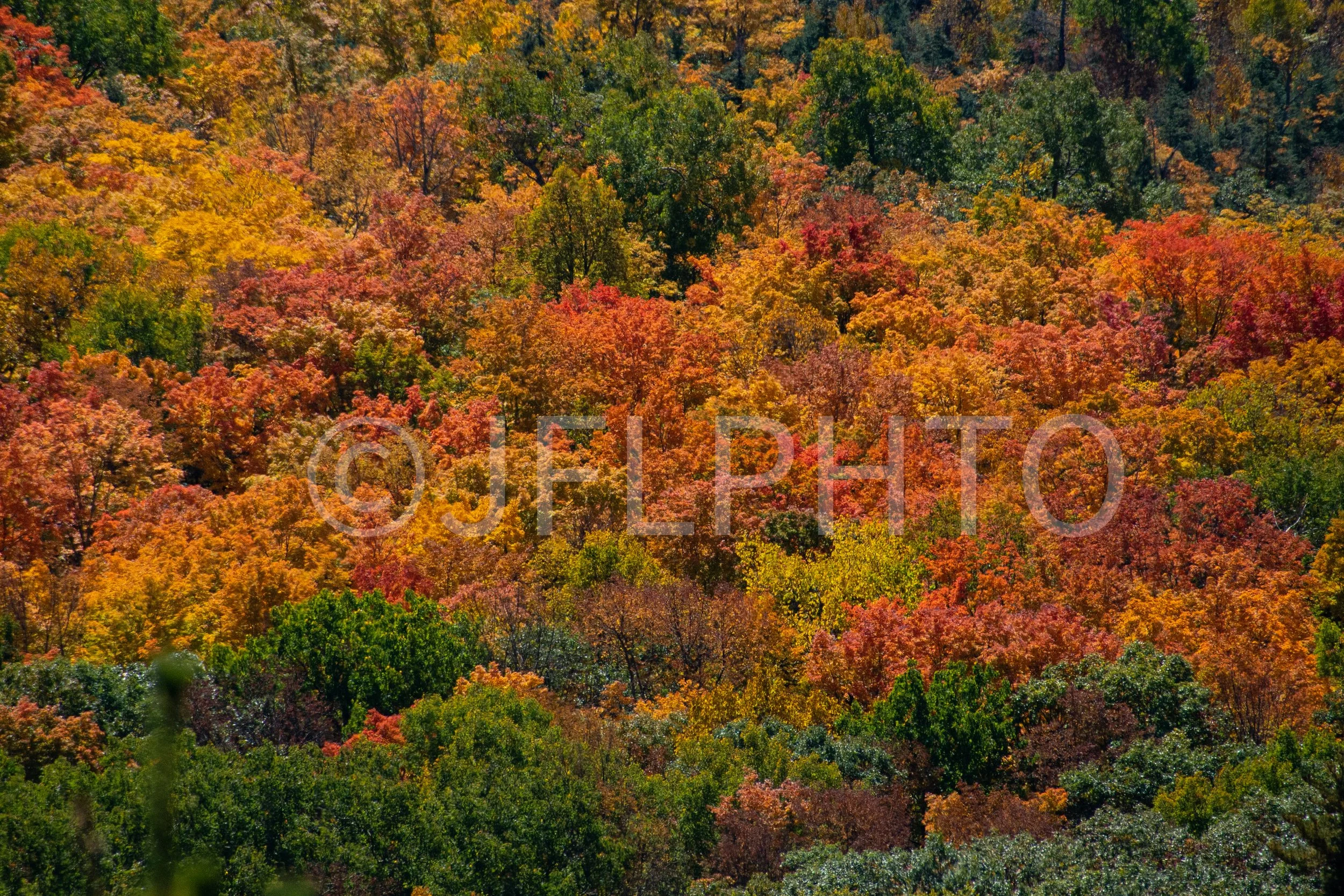 DSC_0130.jpg