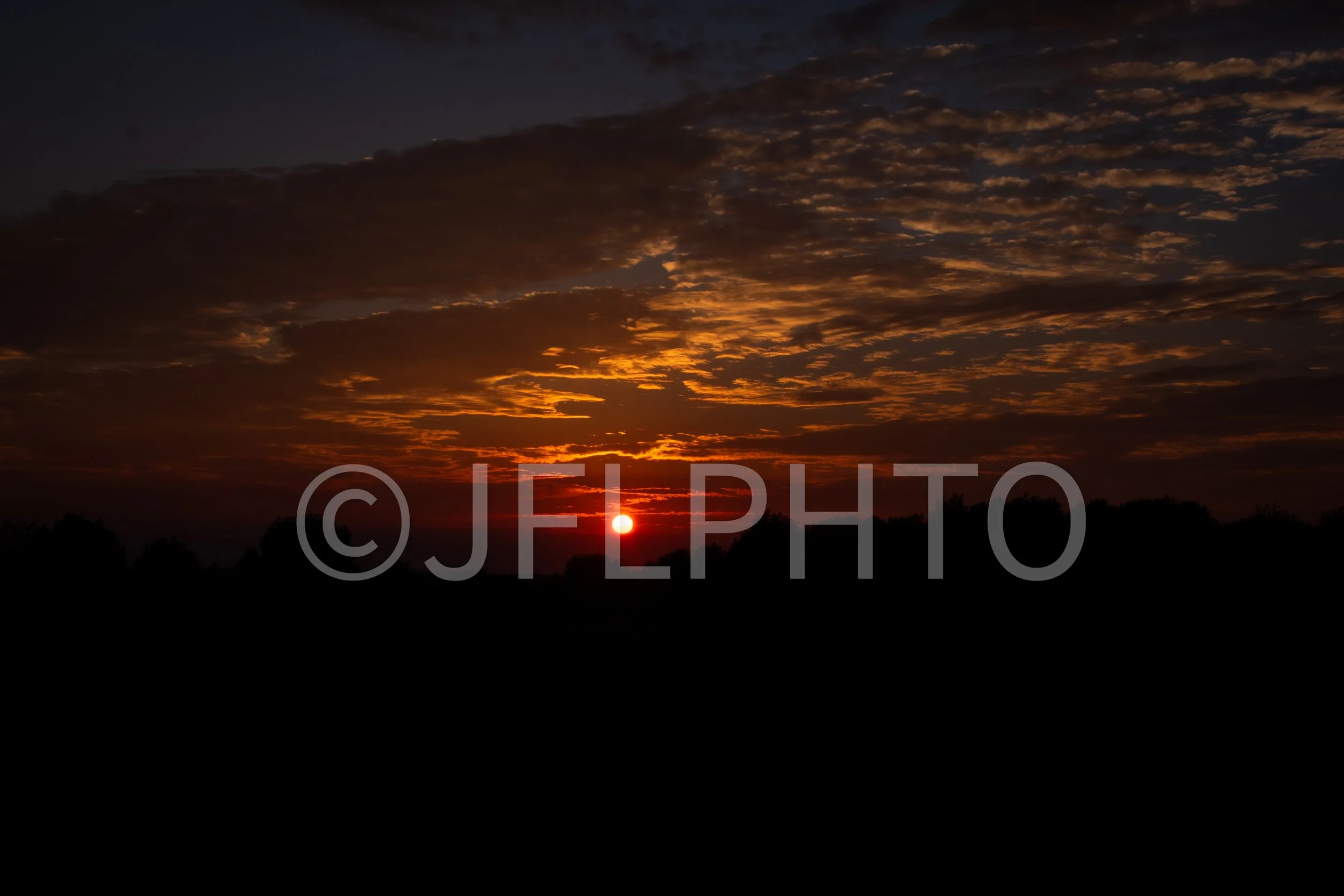 DSC_0963.jpg
