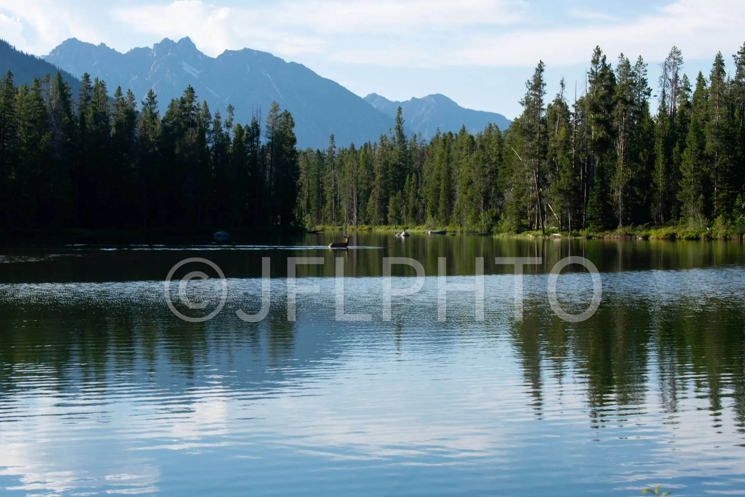 DSC_0732.jpg