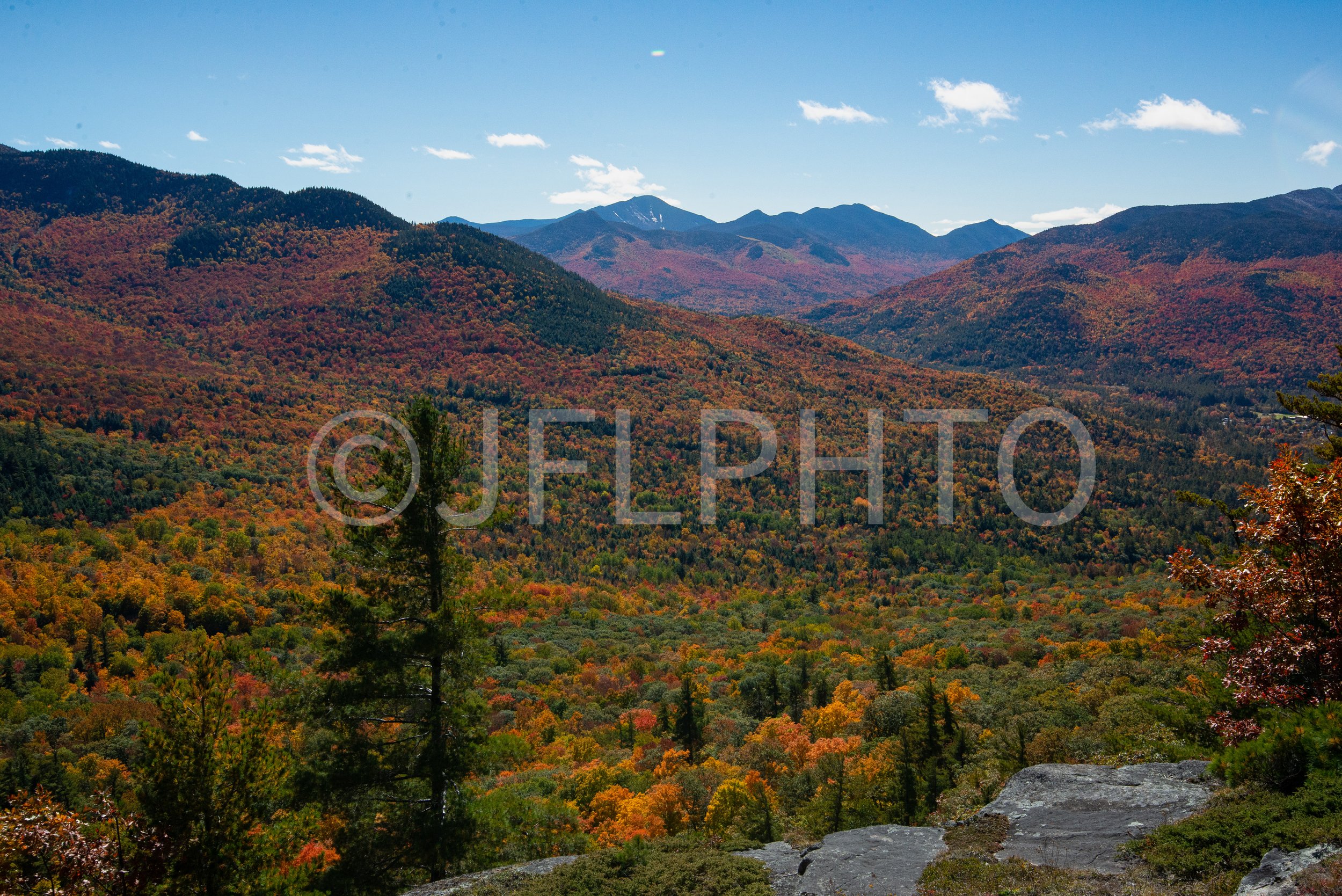 DSC_0231-2.jpg