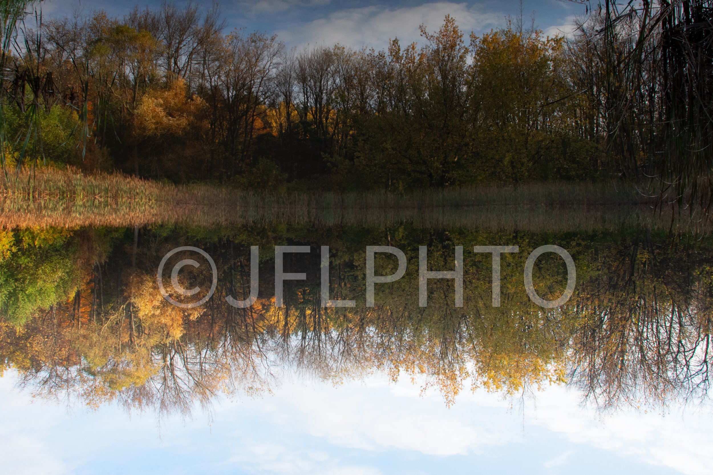 DSC_0439-2.jpg
