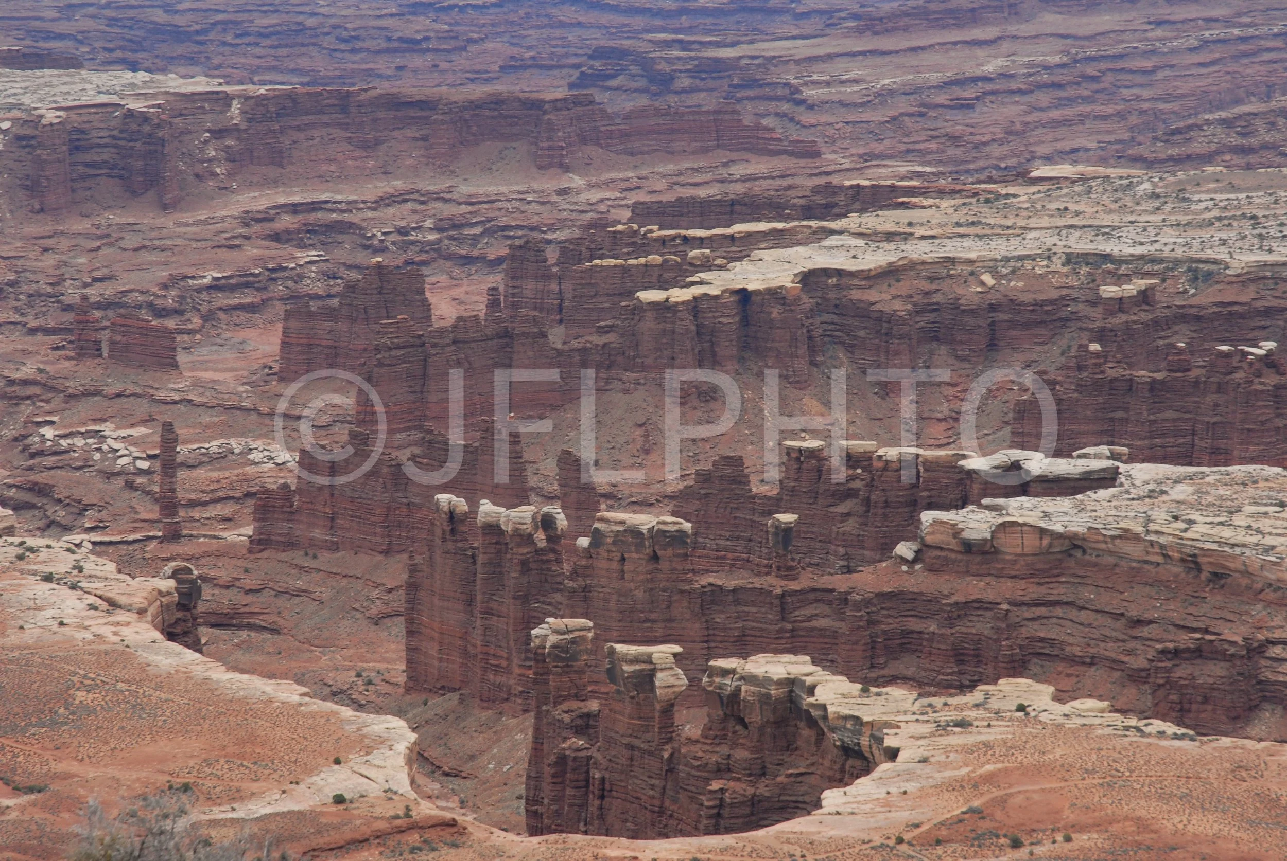 DSC_0723.jpg