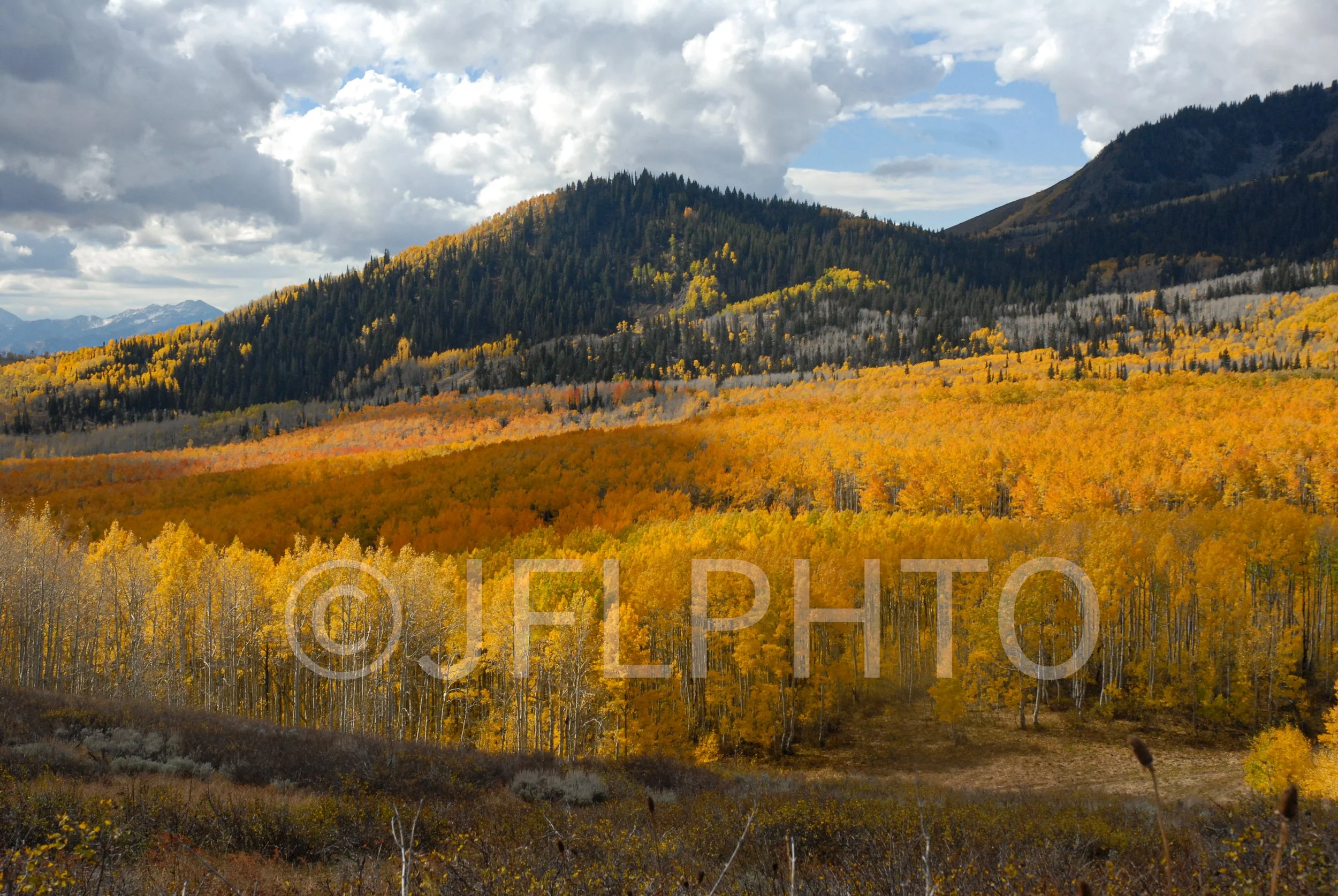 DSC_0053.jpg