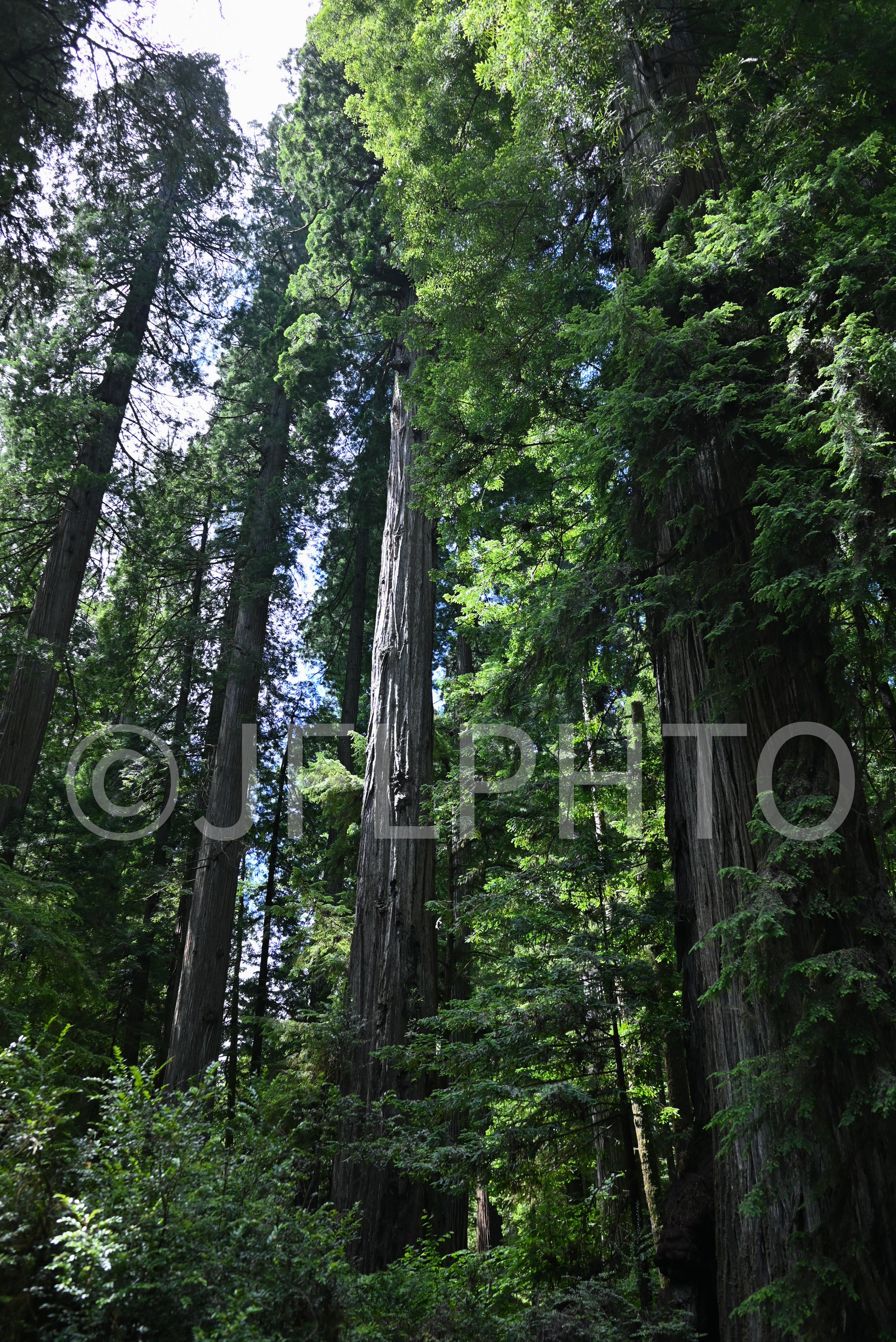 DSC_7045-2.jpg