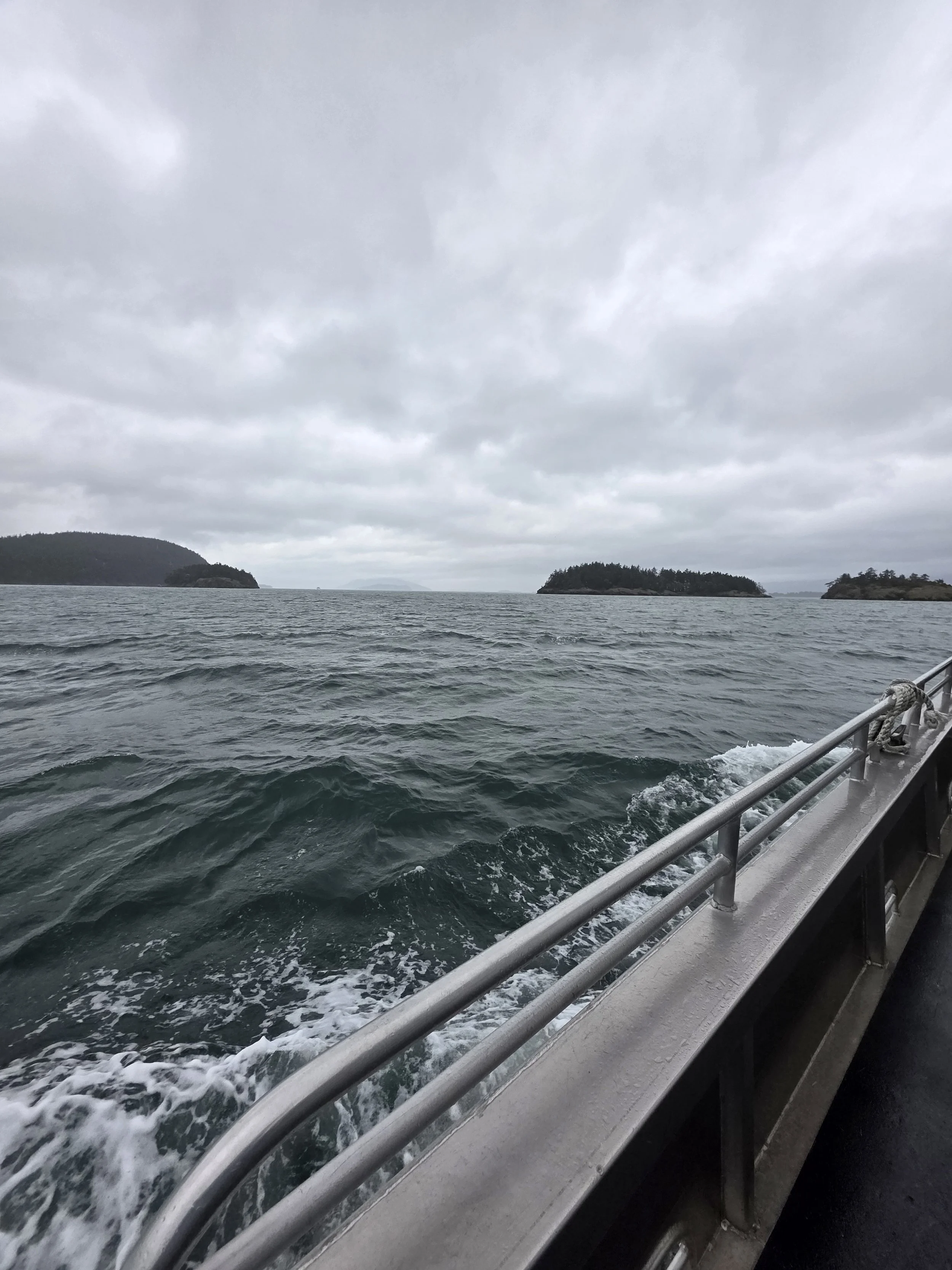 Whale watching tour PNW