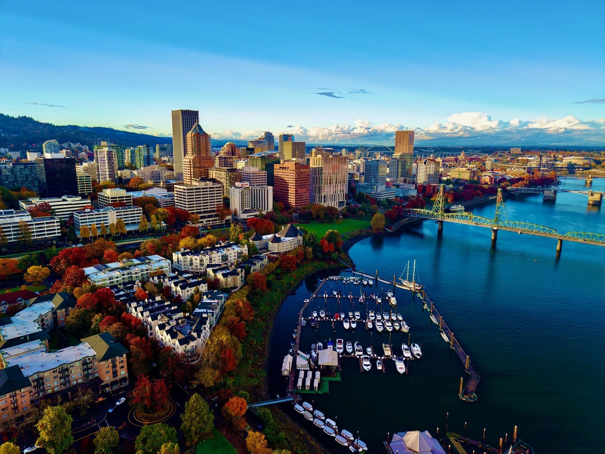 A city skyline with tall buildings, a river, and a marina with boats, surrounded by colorful trees, under a blue sky with clouds.