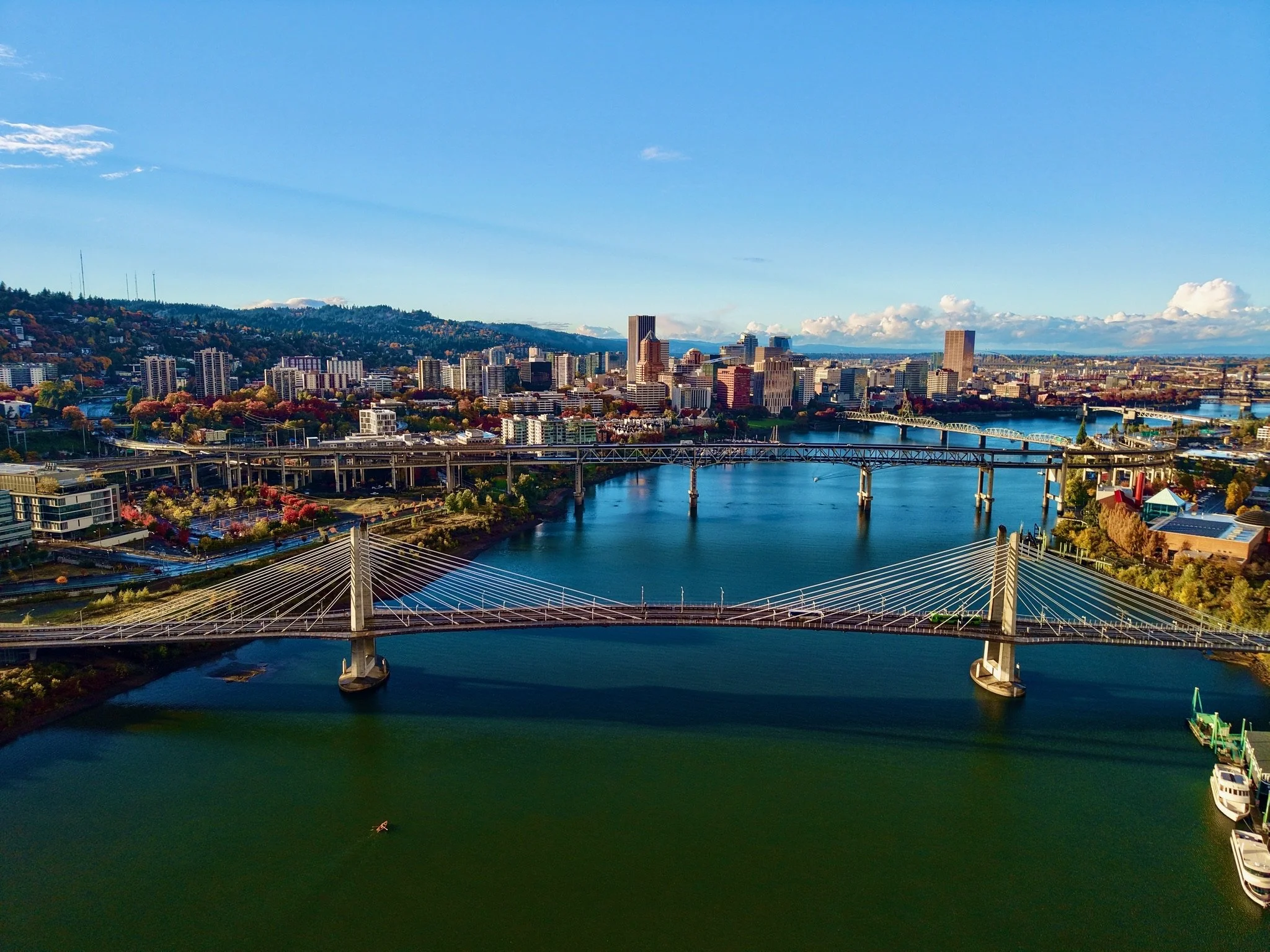 A city skyline with tall buildings, bridges over a river, and a forested hillside in the background on a clear day.