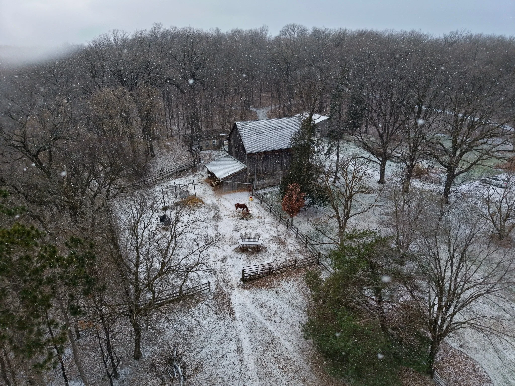 A snowy scene of a rustic barn and farmyard surrounded by leafless trees during a snowfall.