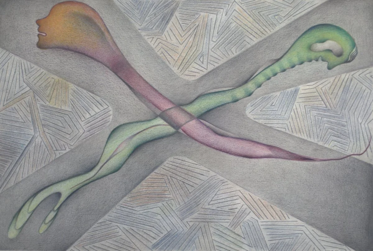 Colored pencil drawing of a snake with a pinkish head and a green tail, crossing each other on a geometric patterned background.