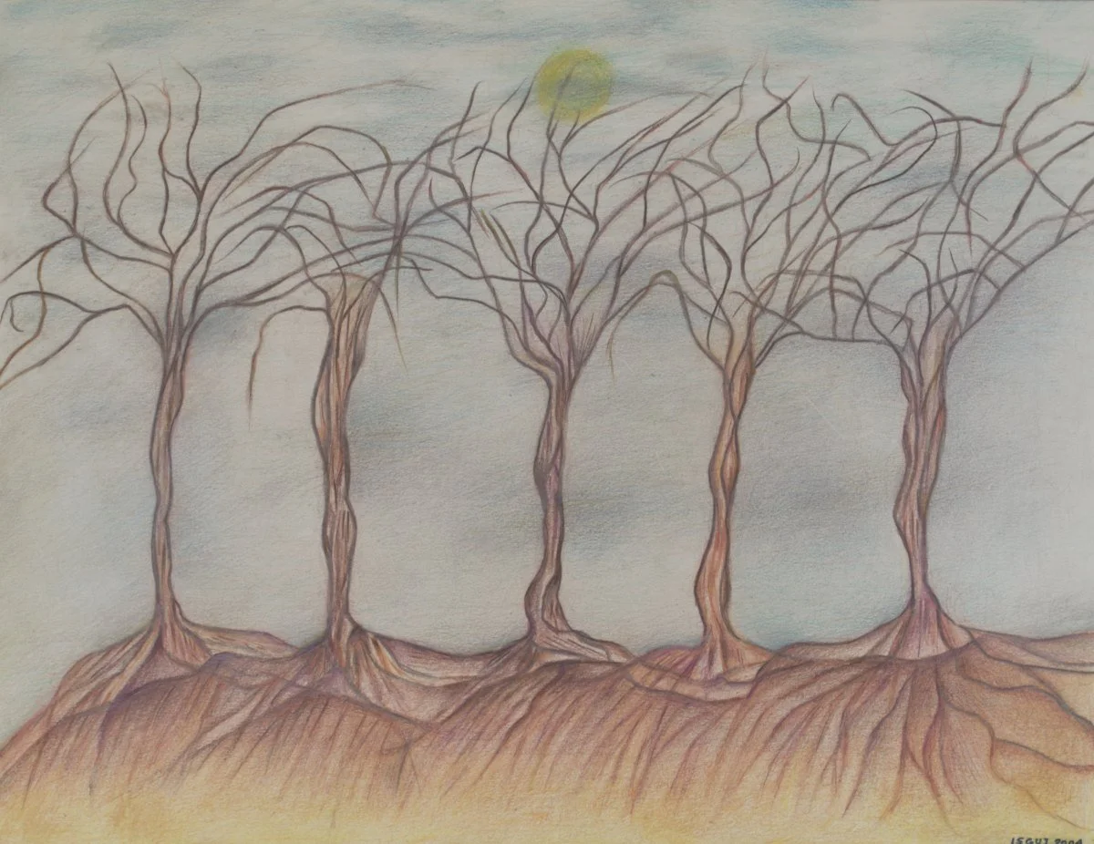 A drawing of four leafless trees with exposed roots against a light sky with the sun in the background.
