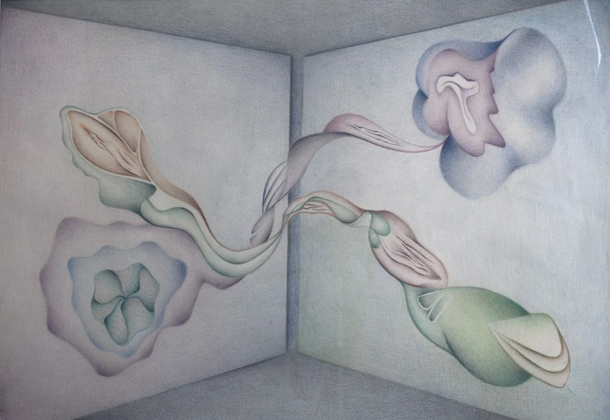 Abstract mural painting of organic and geometric forms in pastel colors on the corner wall of a room.