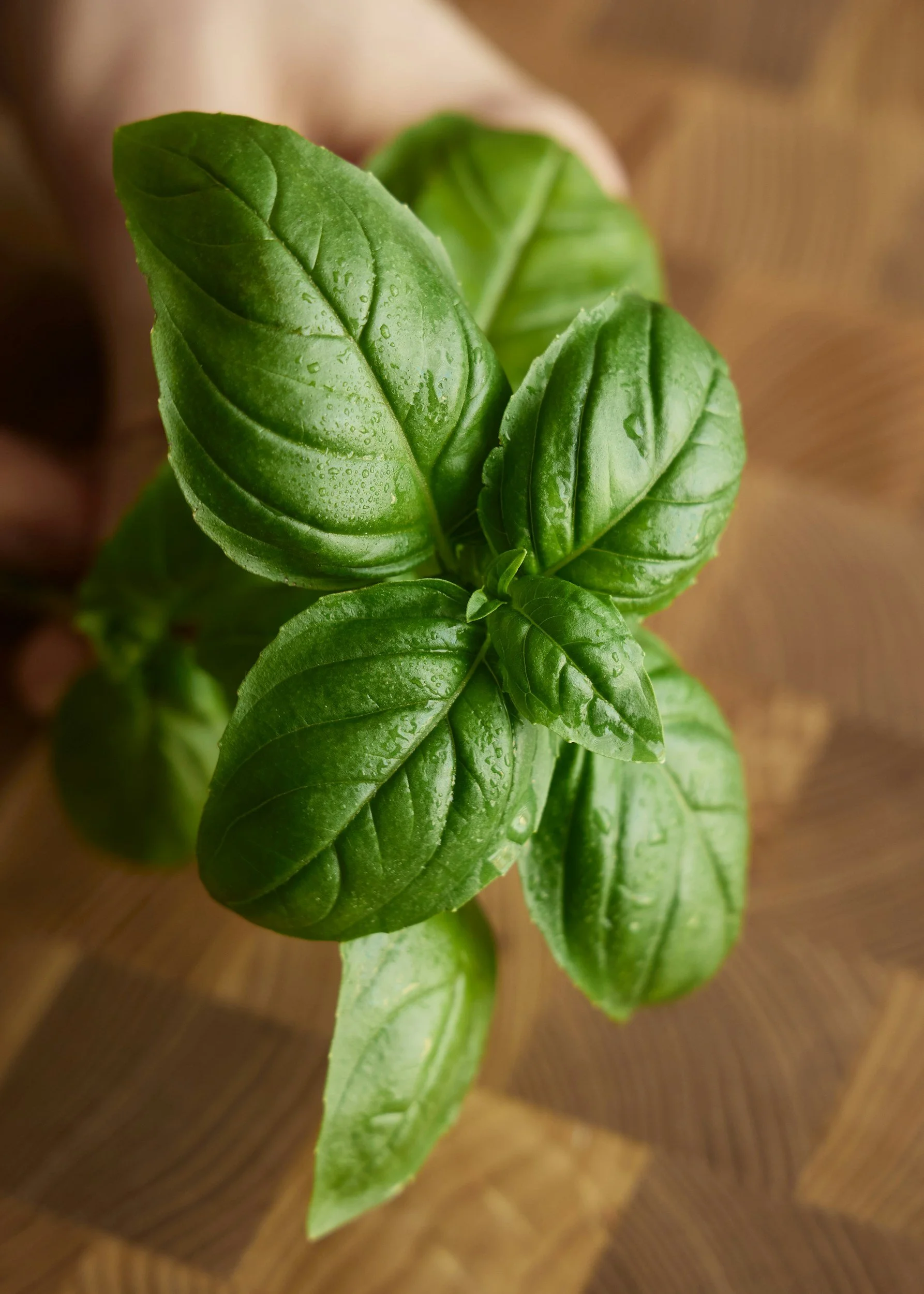 Primary uses include sauces, pasta, pizza, salads, and poultry.