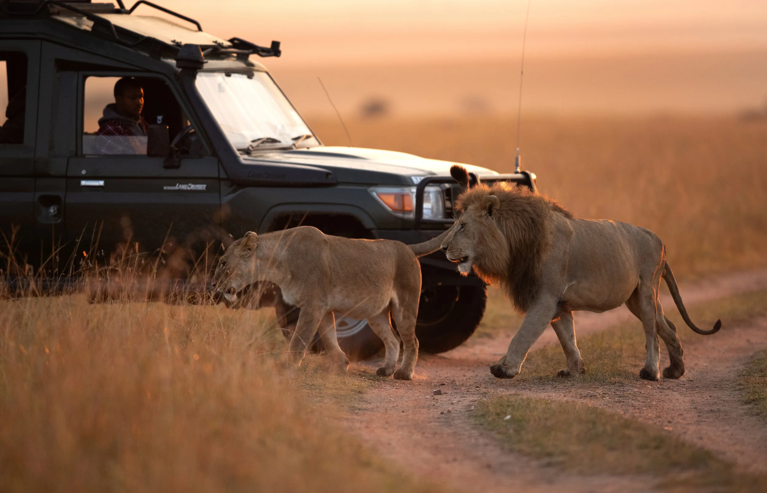 Where the wild world reveals itself — and nothing is ever the same again.