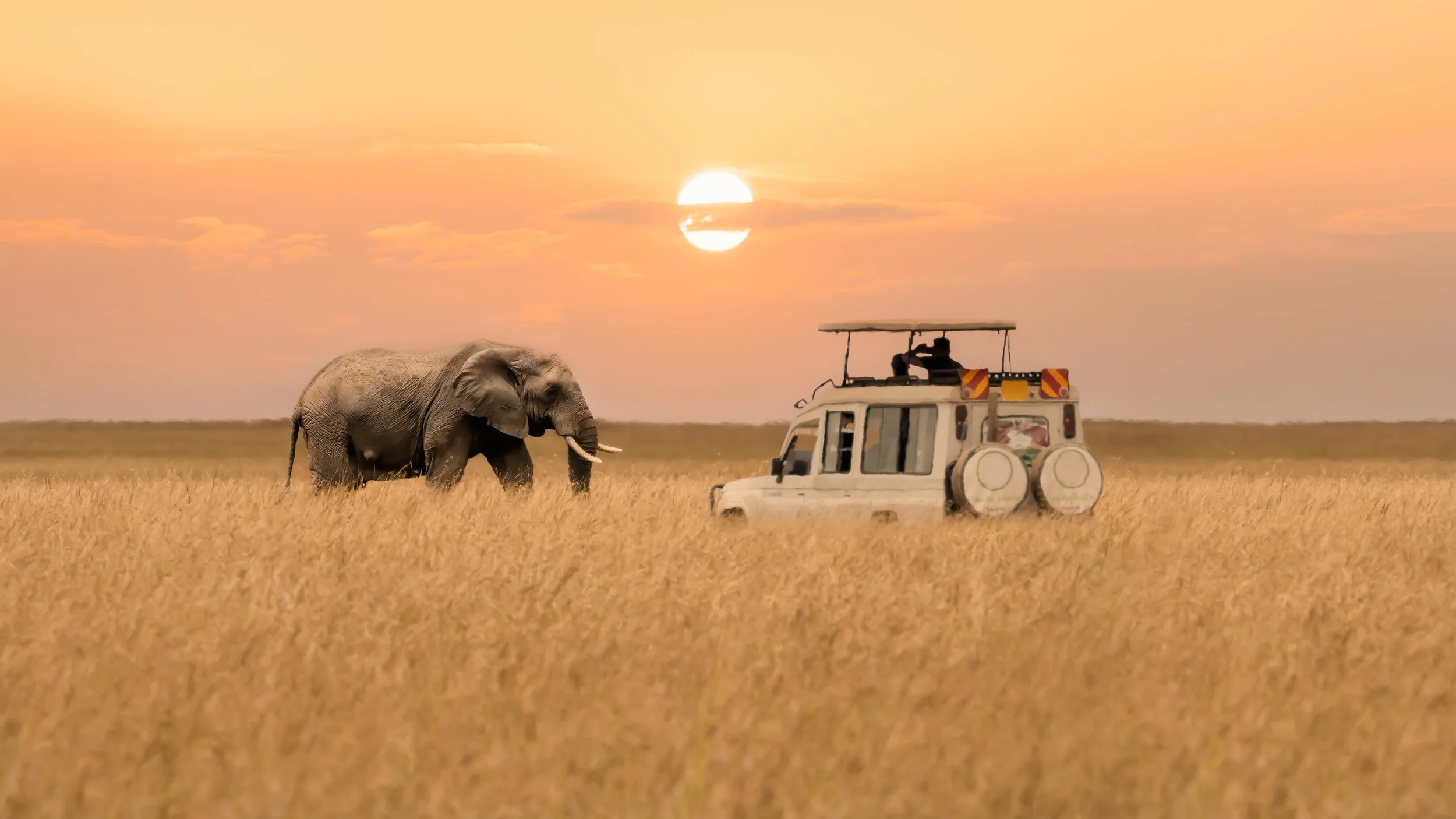 Bespoke luxury safari in Africa — elephant at golden sunset with private safari vehicle, Tidal & Rare luxury travel