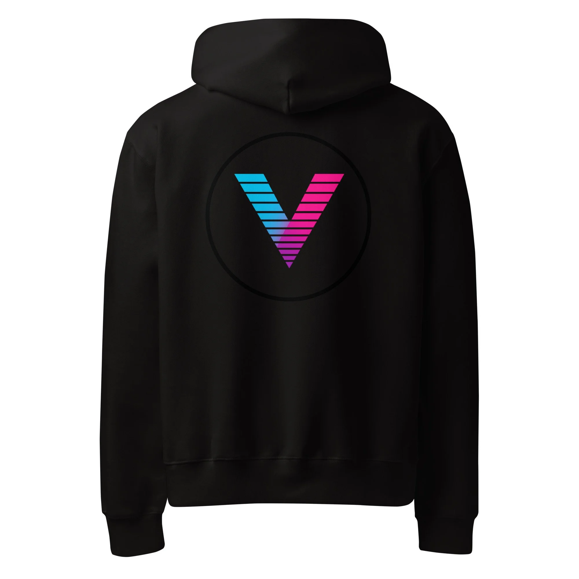 unisex-oversized-heavyweight-hoodie-black-back-6a9b4743ae922.jpg