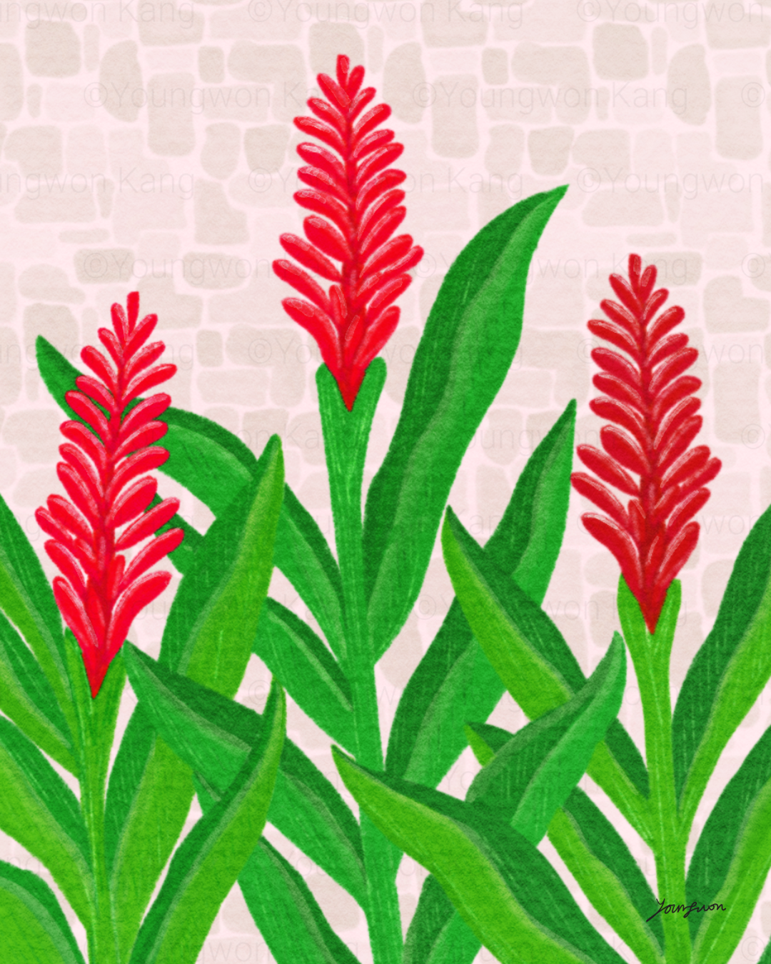 Flowers in Tahiti, Alpinia purpurata