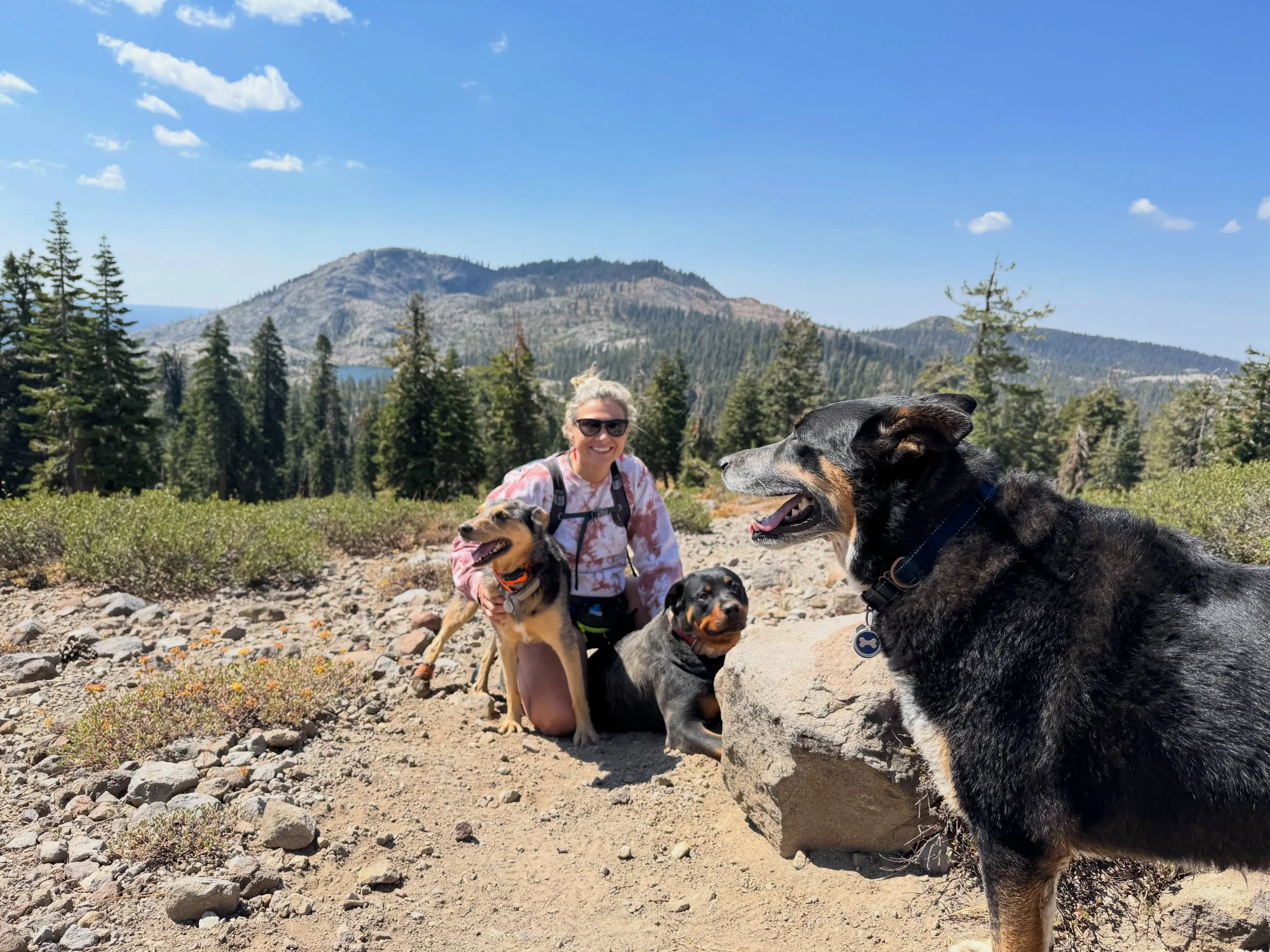 Hi my name is Jackie and the owner of Dharma Canine Collective. I started Dharma after being a ER and ICU Vet Tech and pet sitter for many years caring for various dog breeds and temperaments as well as owning my fair share of &ldquo;problem dogs&rdq