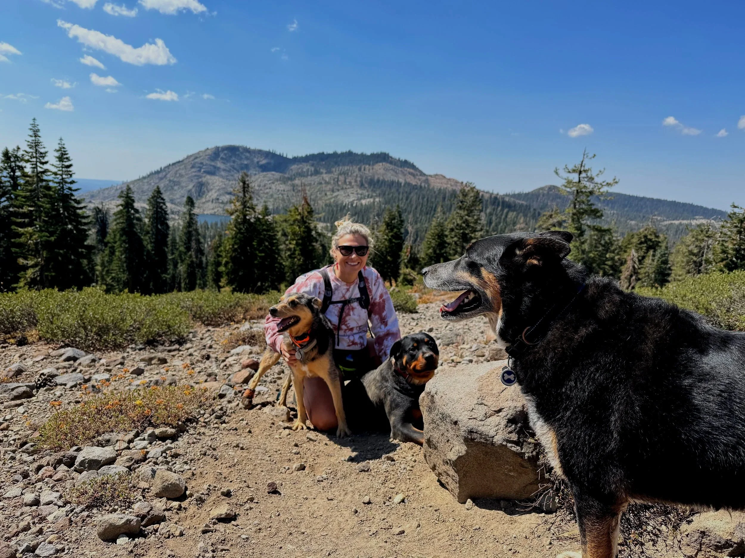 A person wearing sunglasses kneeling with several dogs on a rocky trail in a mountainous forest area, with mountains and a clear blue sky in the background.