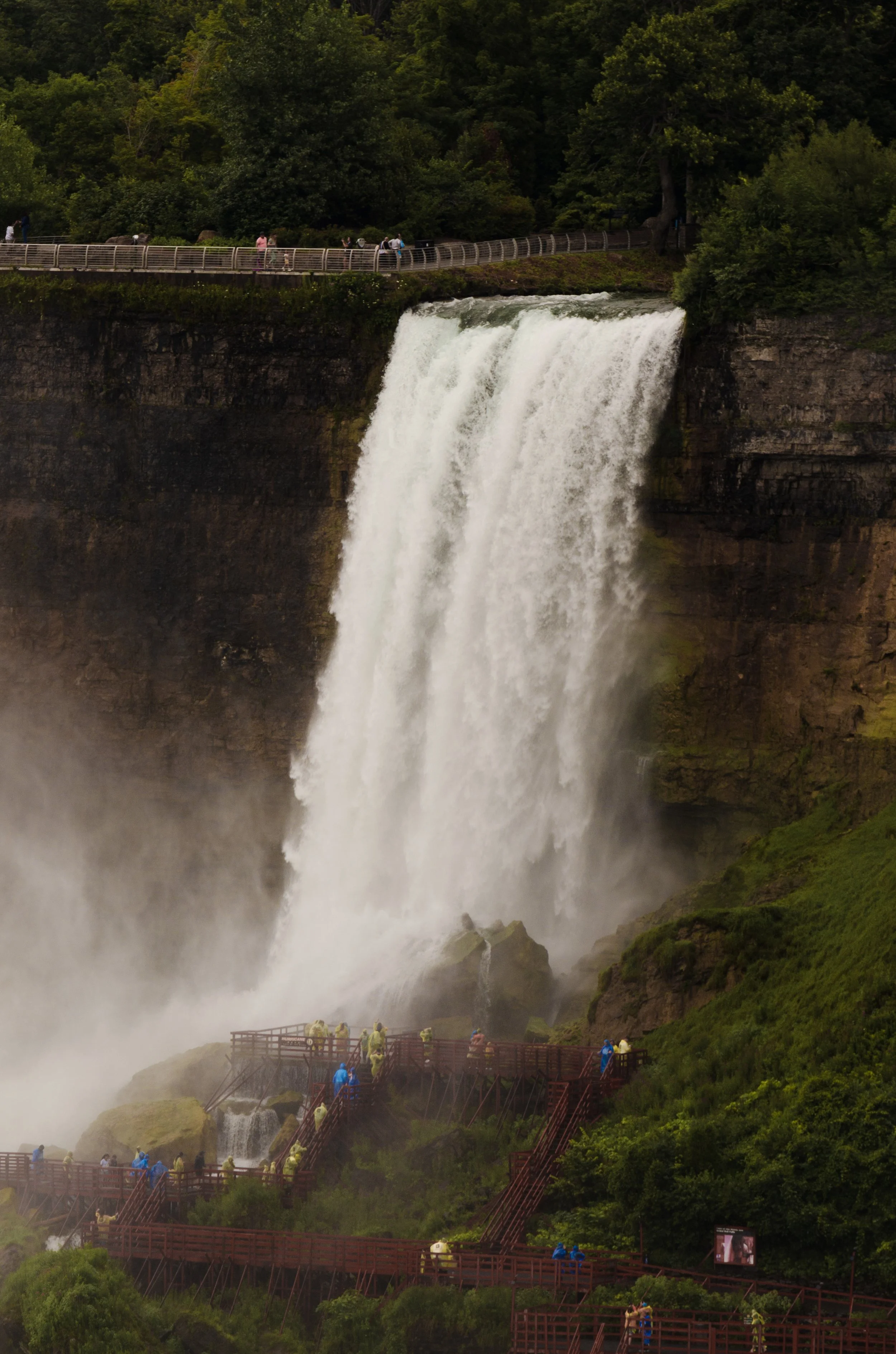 _DSC0724.jpg