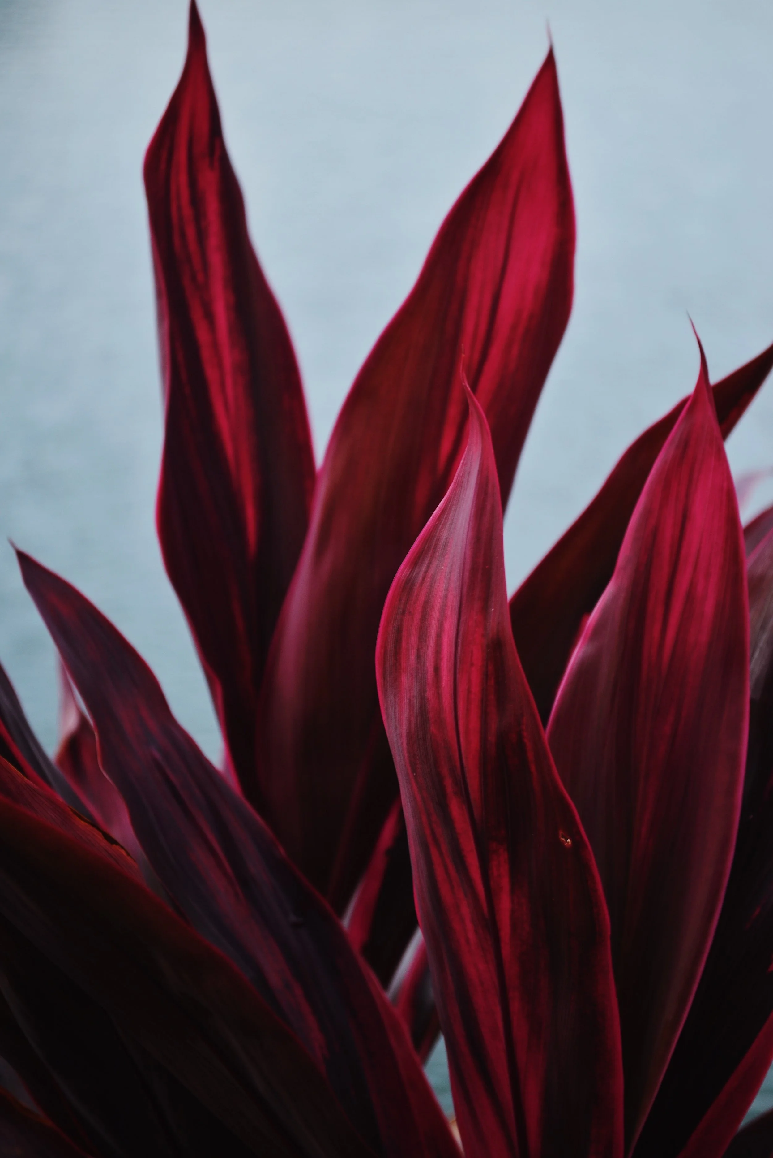 E1E51DC6-2AA3-4290-A71B-A2DC108F8C25.jpg