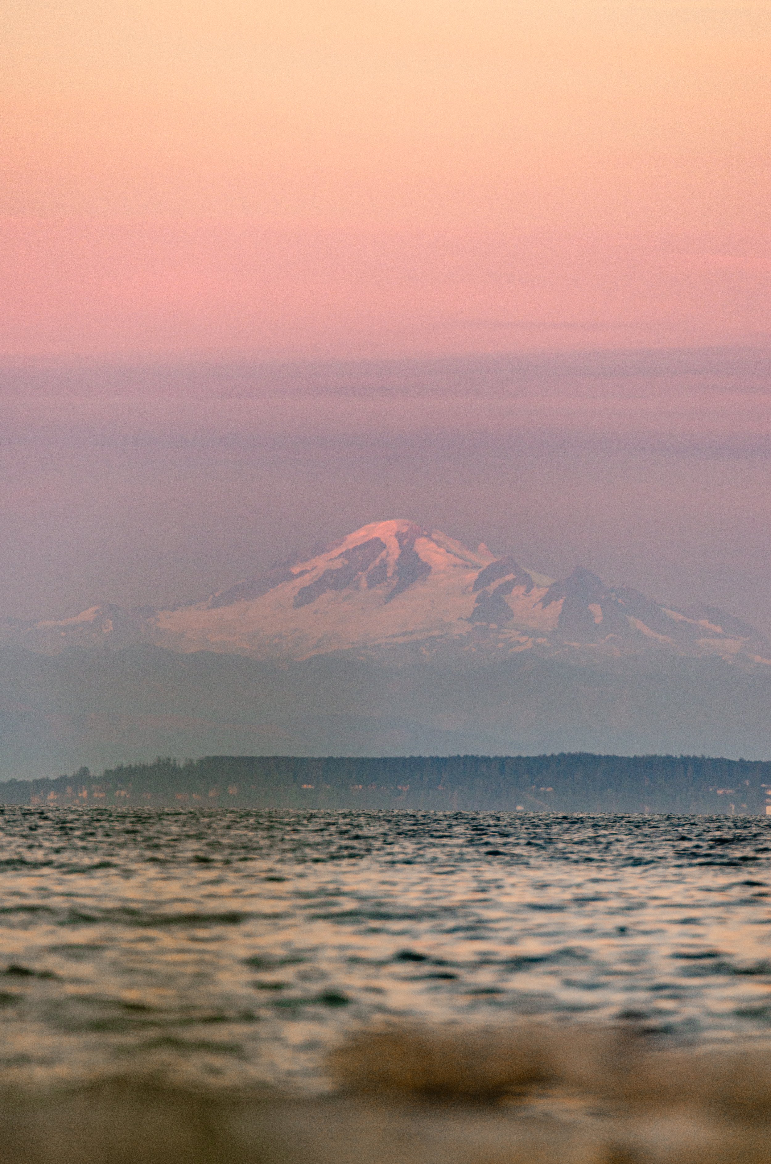 _DSC0510.jpg