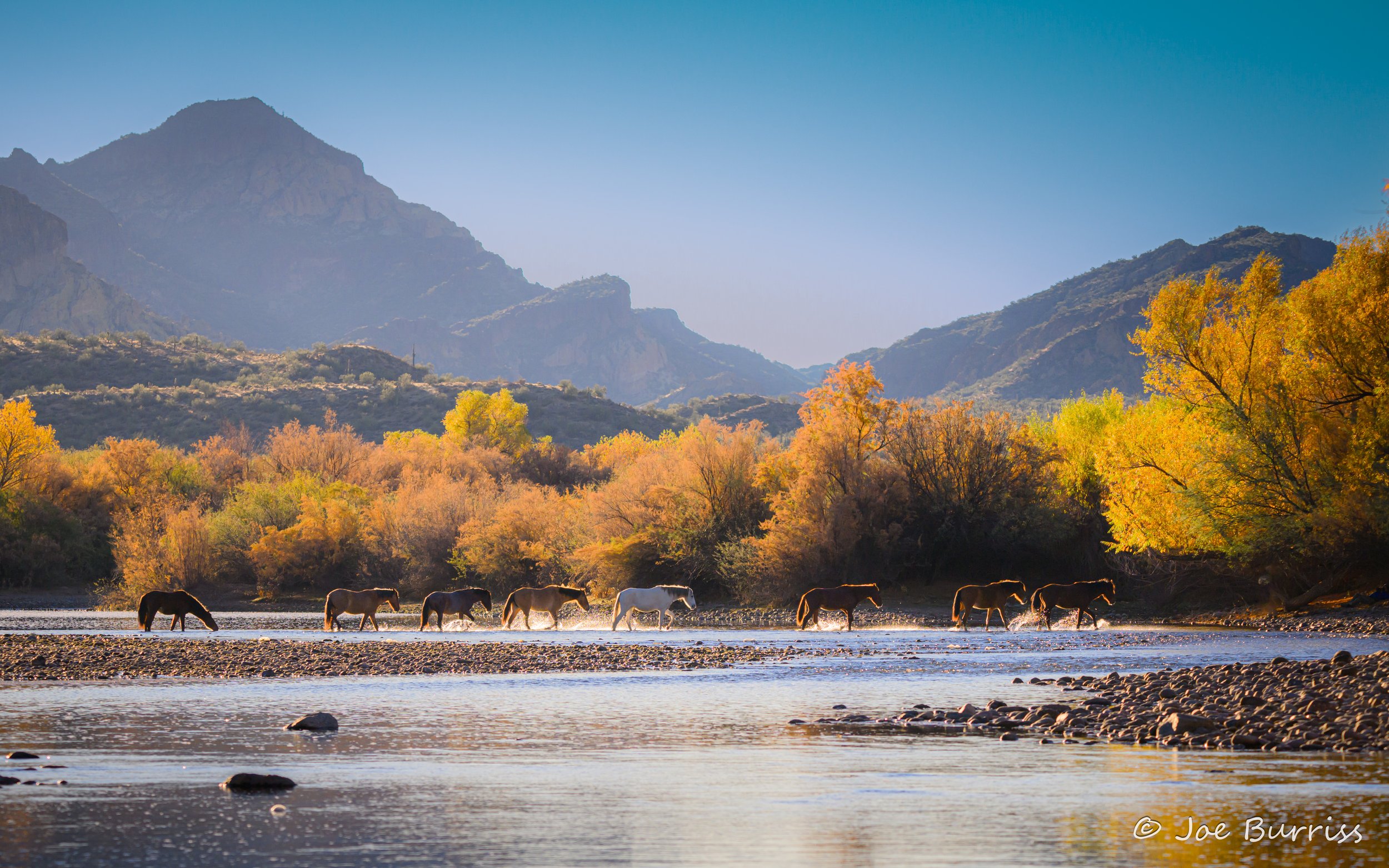 Arizona Salt River Morning Commute-9175.jpg