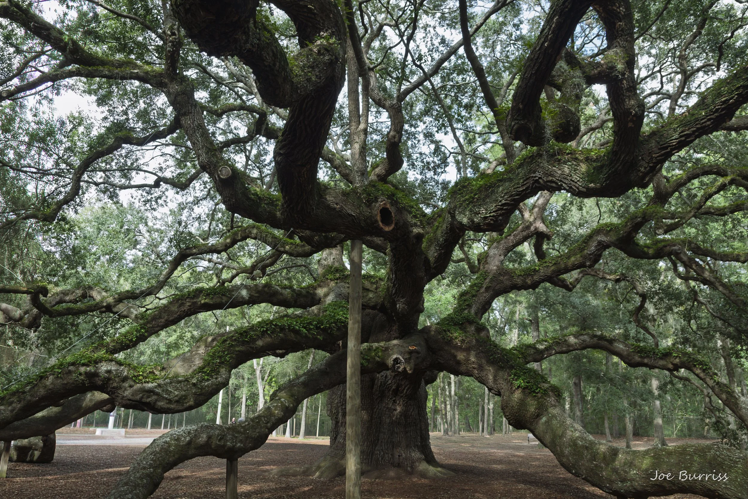 Charleston, SC