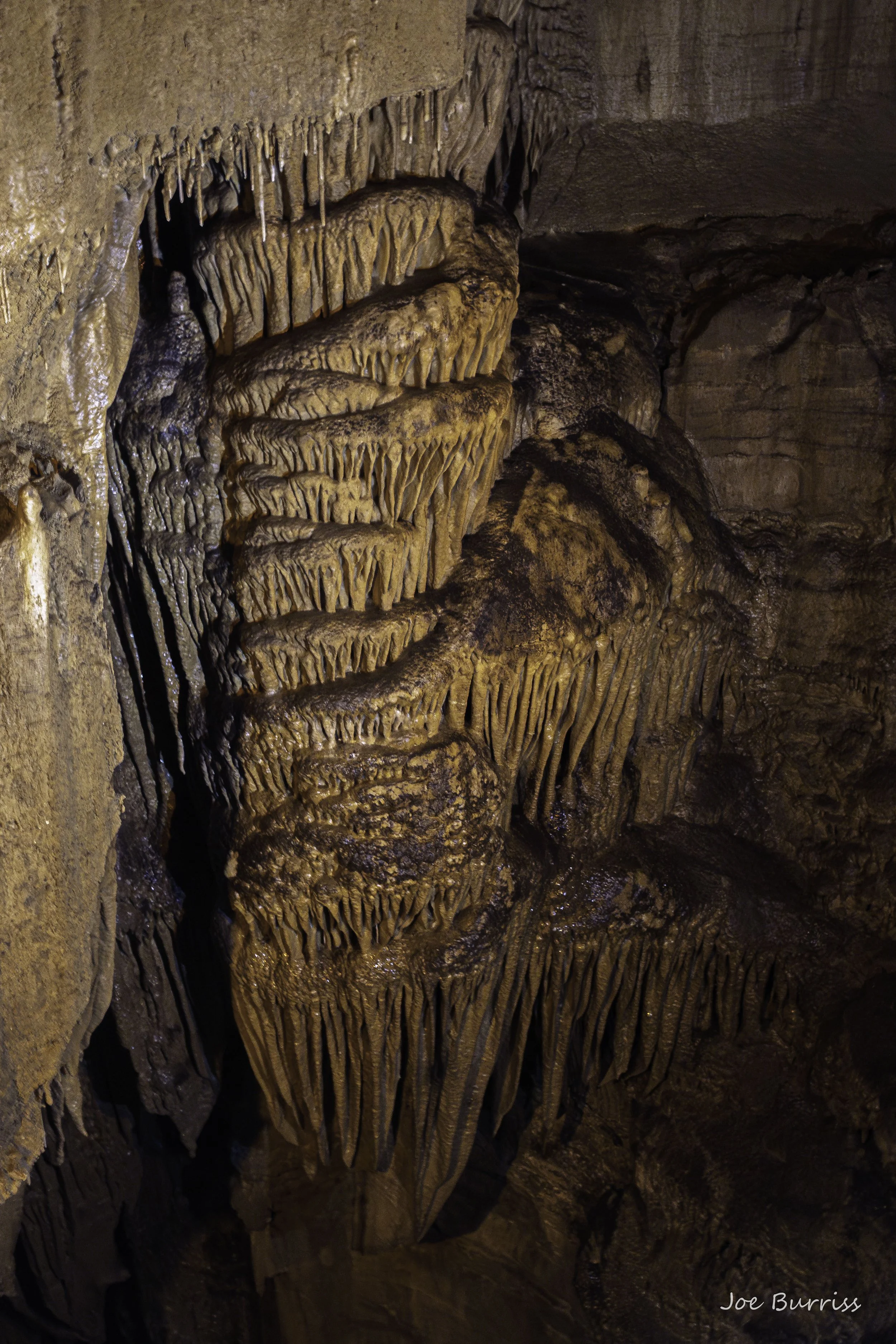 Mammoth Caves